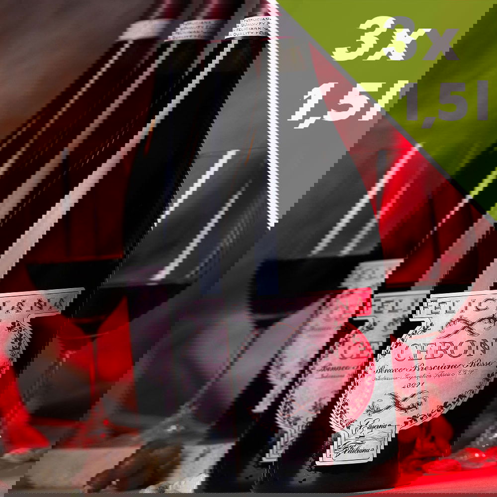 3er-Paket Benaco Bresciano Rosso 2021 Cebon Magnum