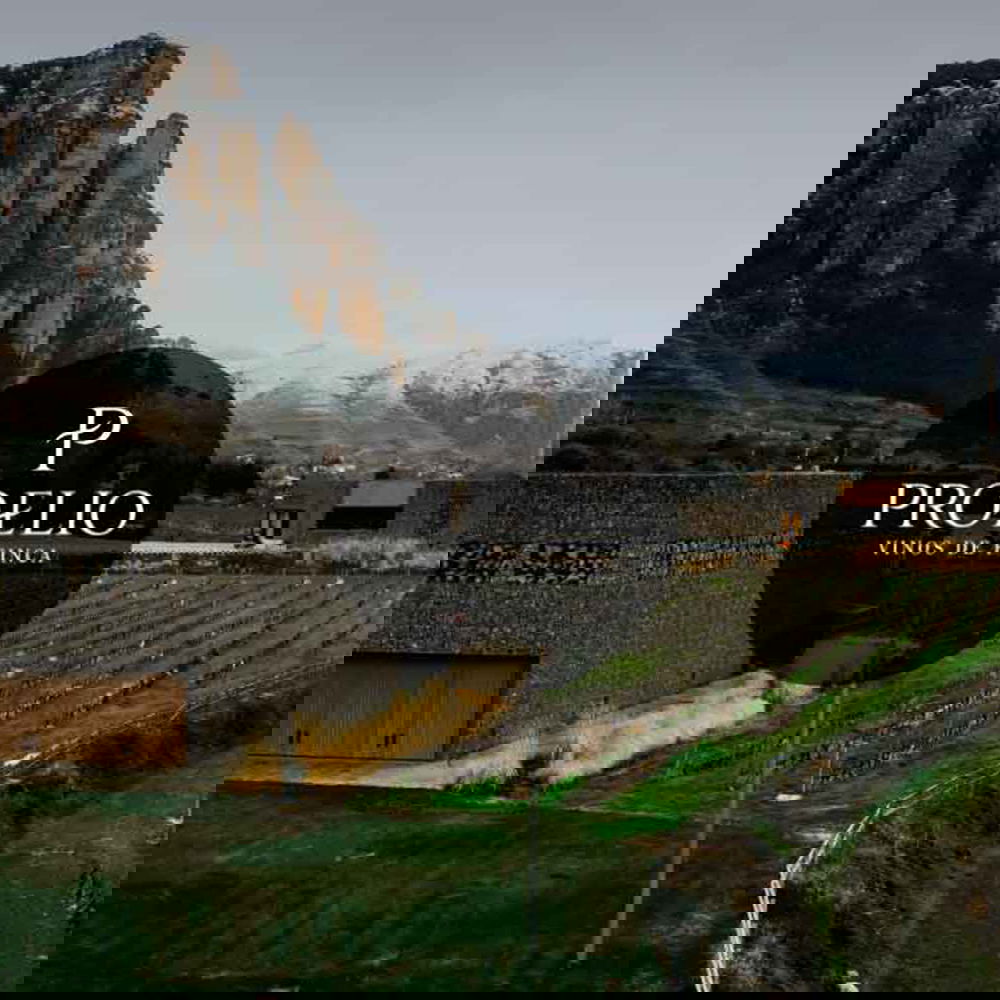 6er-Holzkiste Rioja 2017 Garnacha La Canal del Rojo