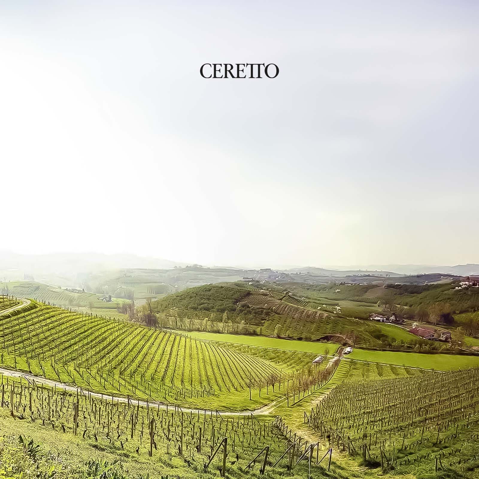 Arneis Langhe 2025 Blangé Bio