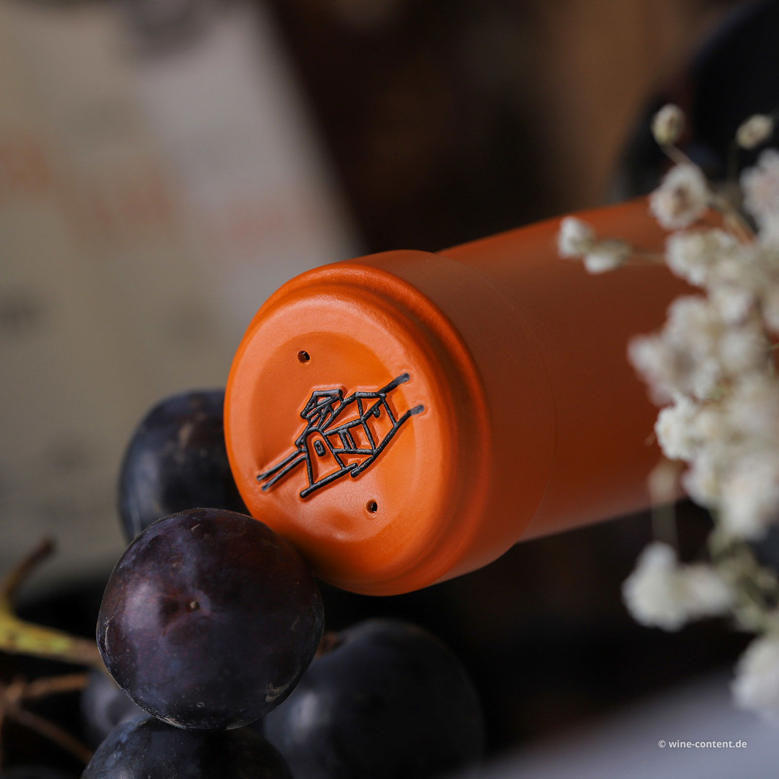 6er-Sparpaket Tempranillo 2021 Malleolus