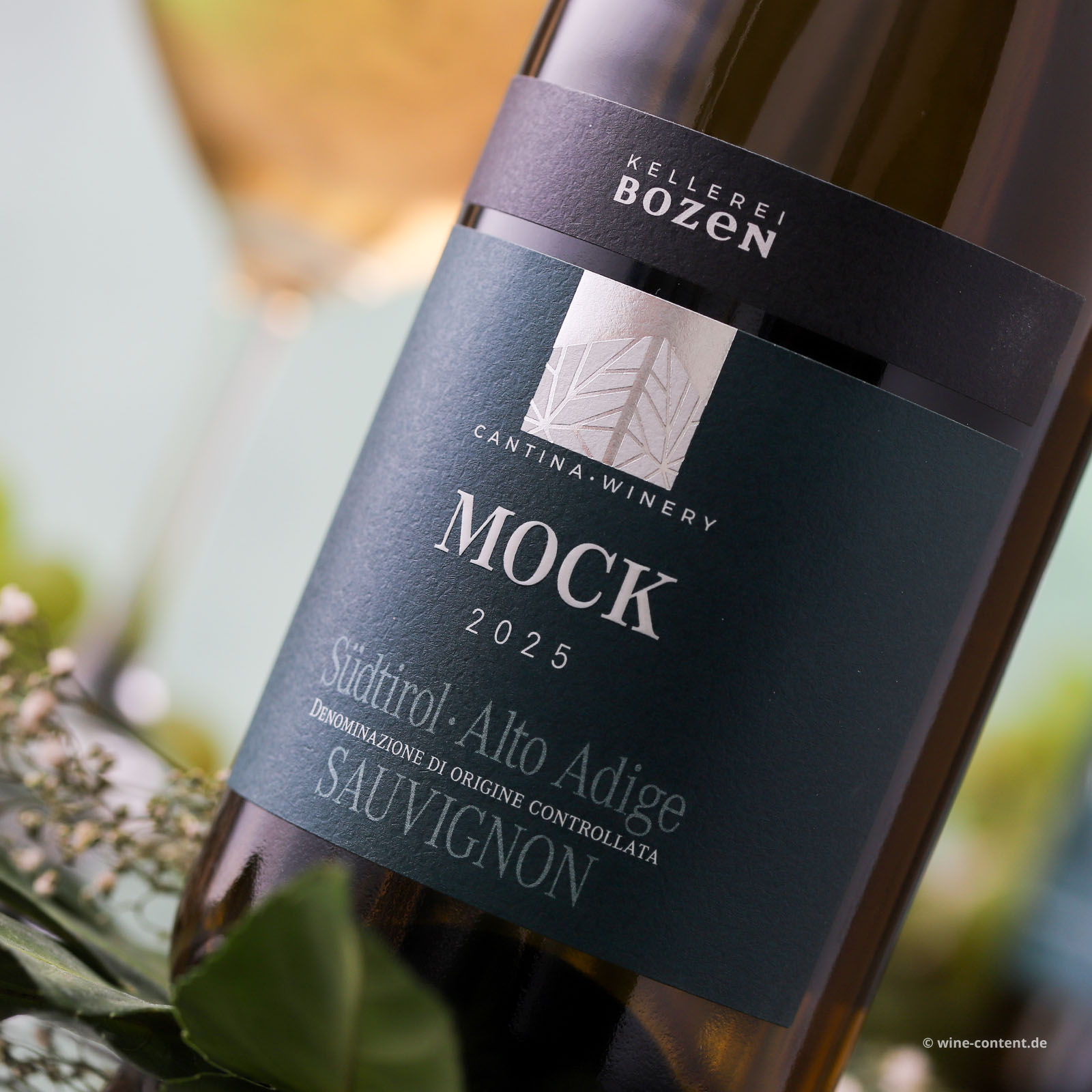 Sauvignon Blanc 2025 Mock