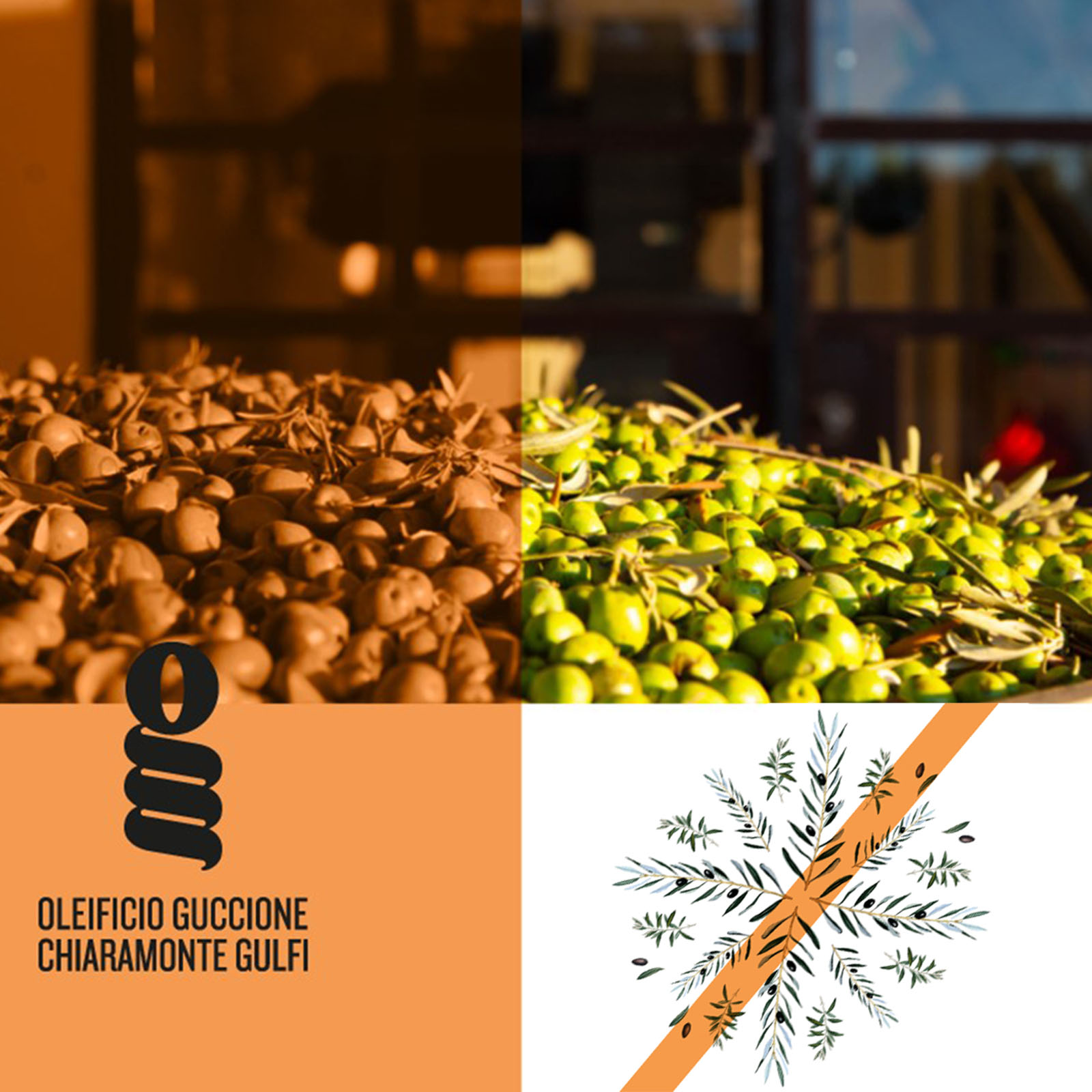 0,5 L Olivenöl Extra Vergine 2025 Zahara