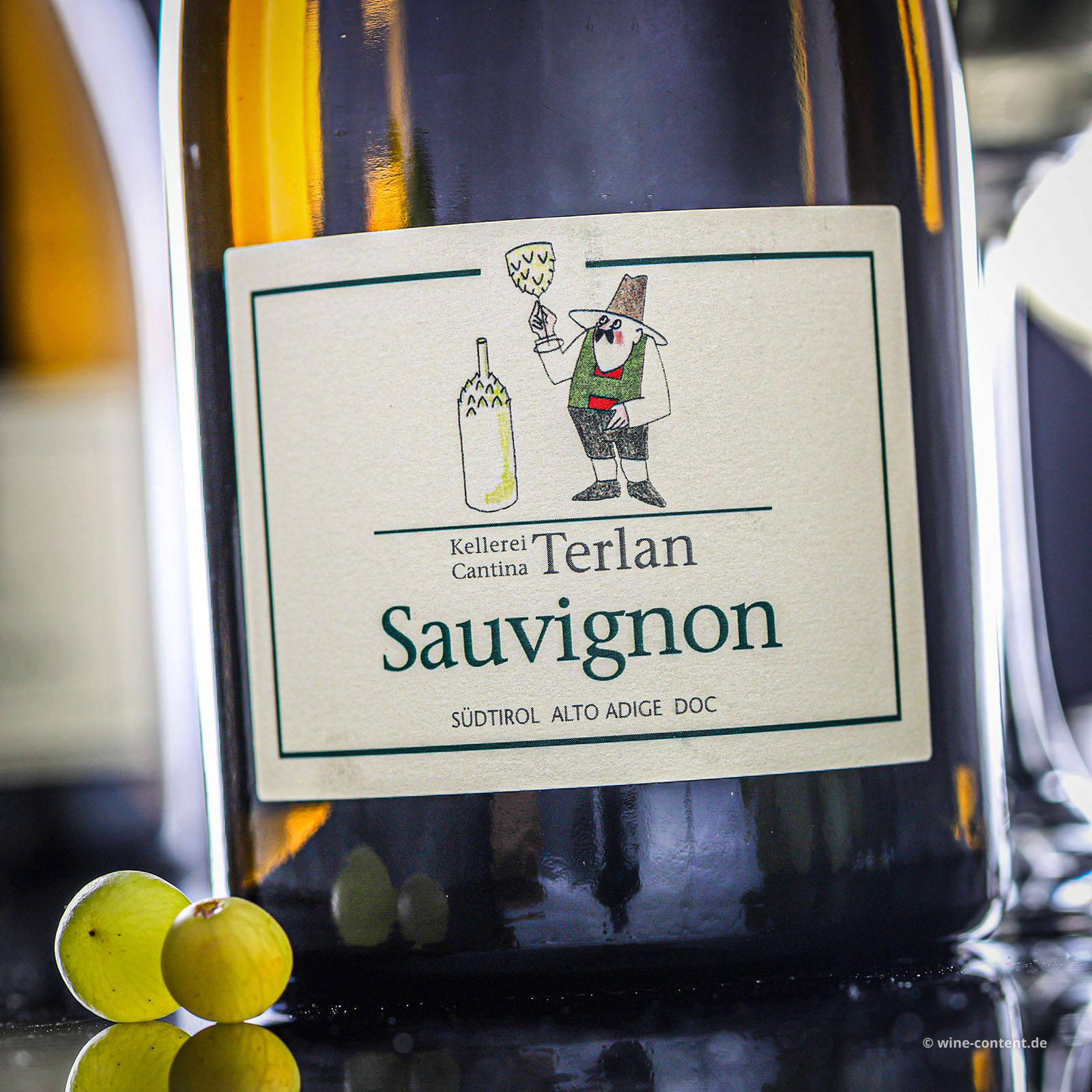Sauvignon Blanc 2025