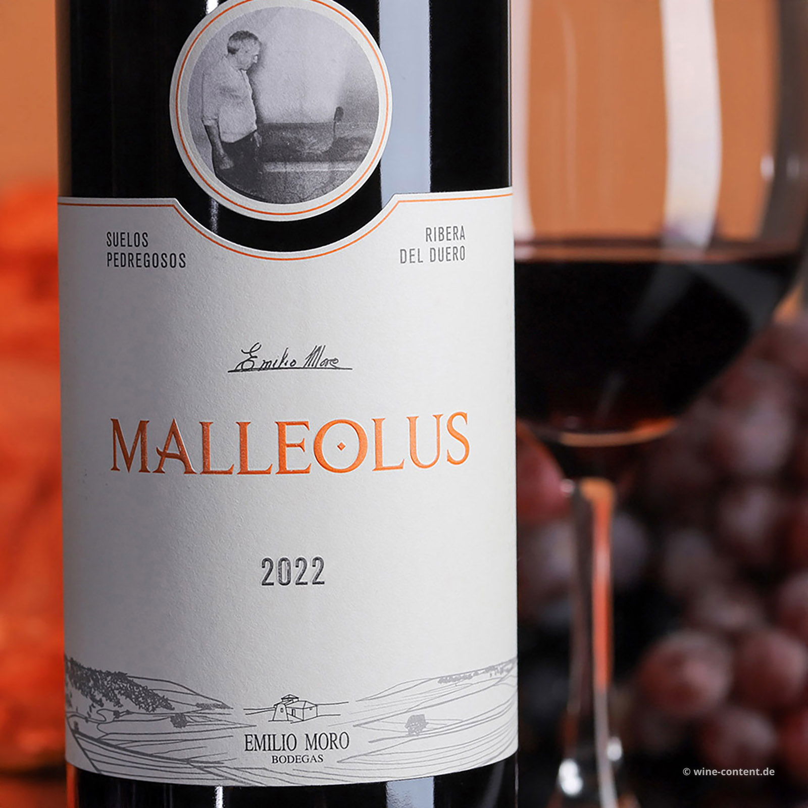 Tempranillo 2022 Malleolus