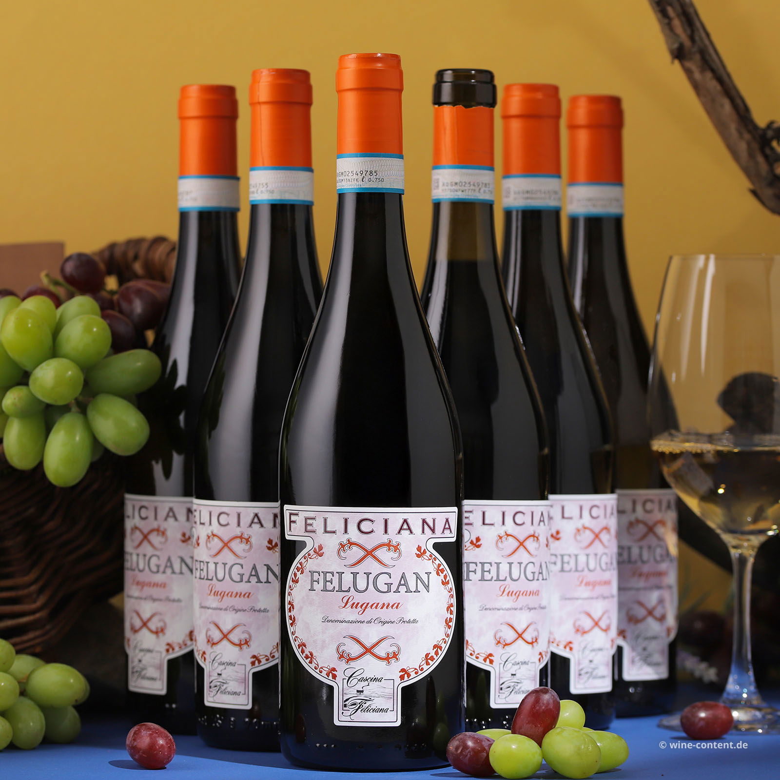 6er-Sparpaket Lugana 2025 Felugan