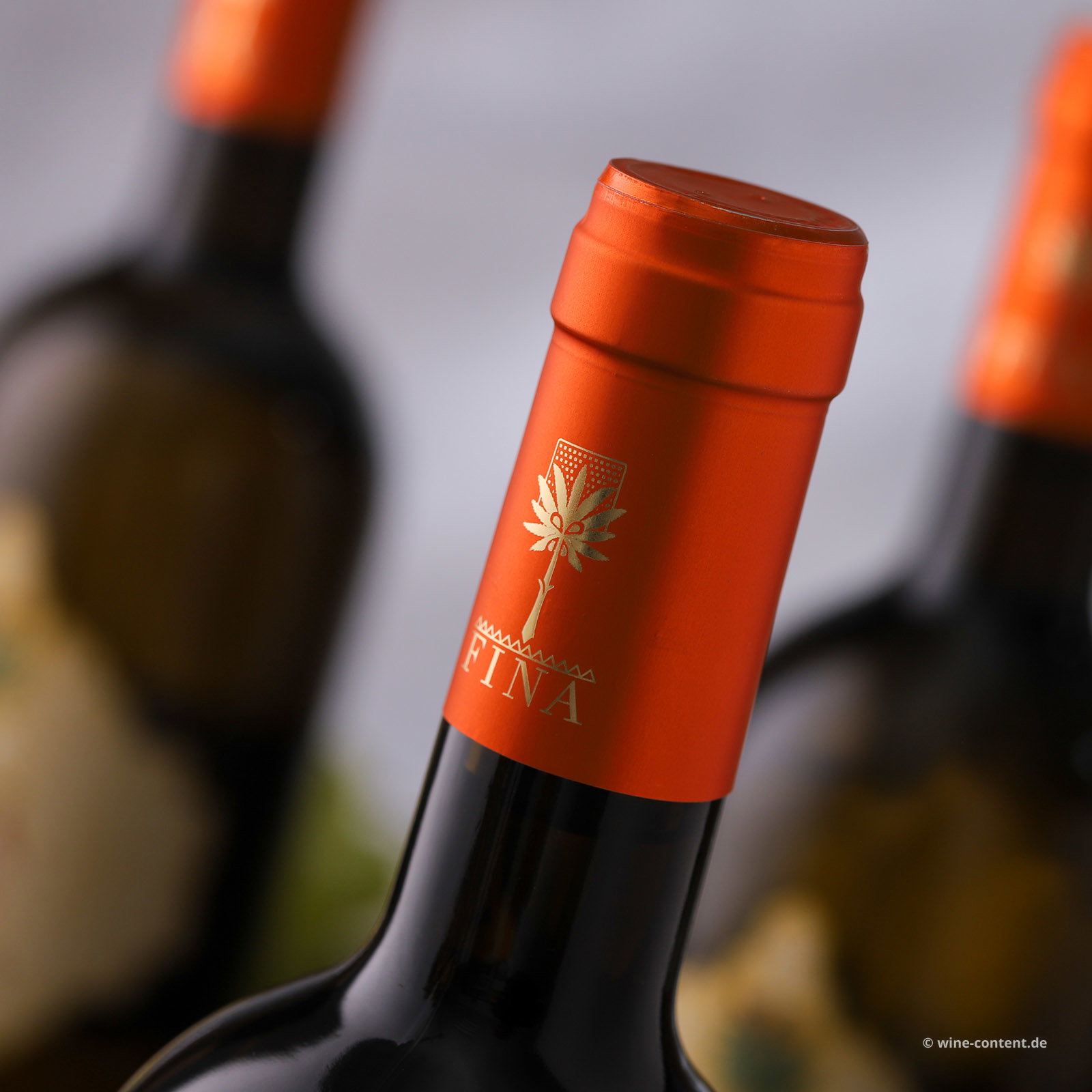 6er-Sparpaket Terre Siciliane Bianco 2025 Kikè