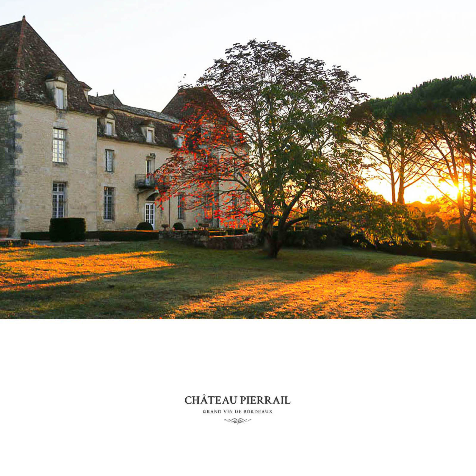 Bordeaux Supérieur 2020 Bordeaux Supérieur 2020