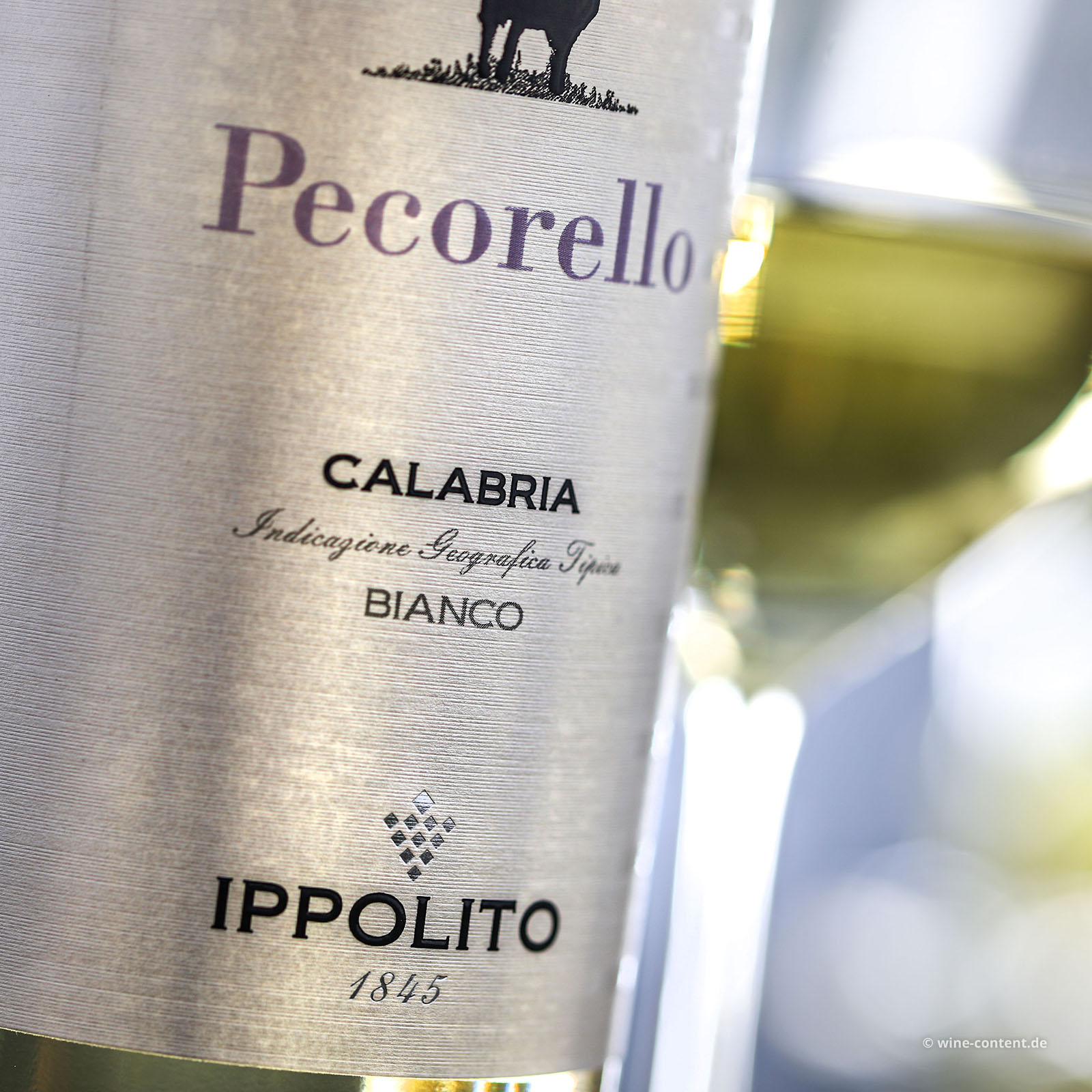 Pecorello Calabria 2025