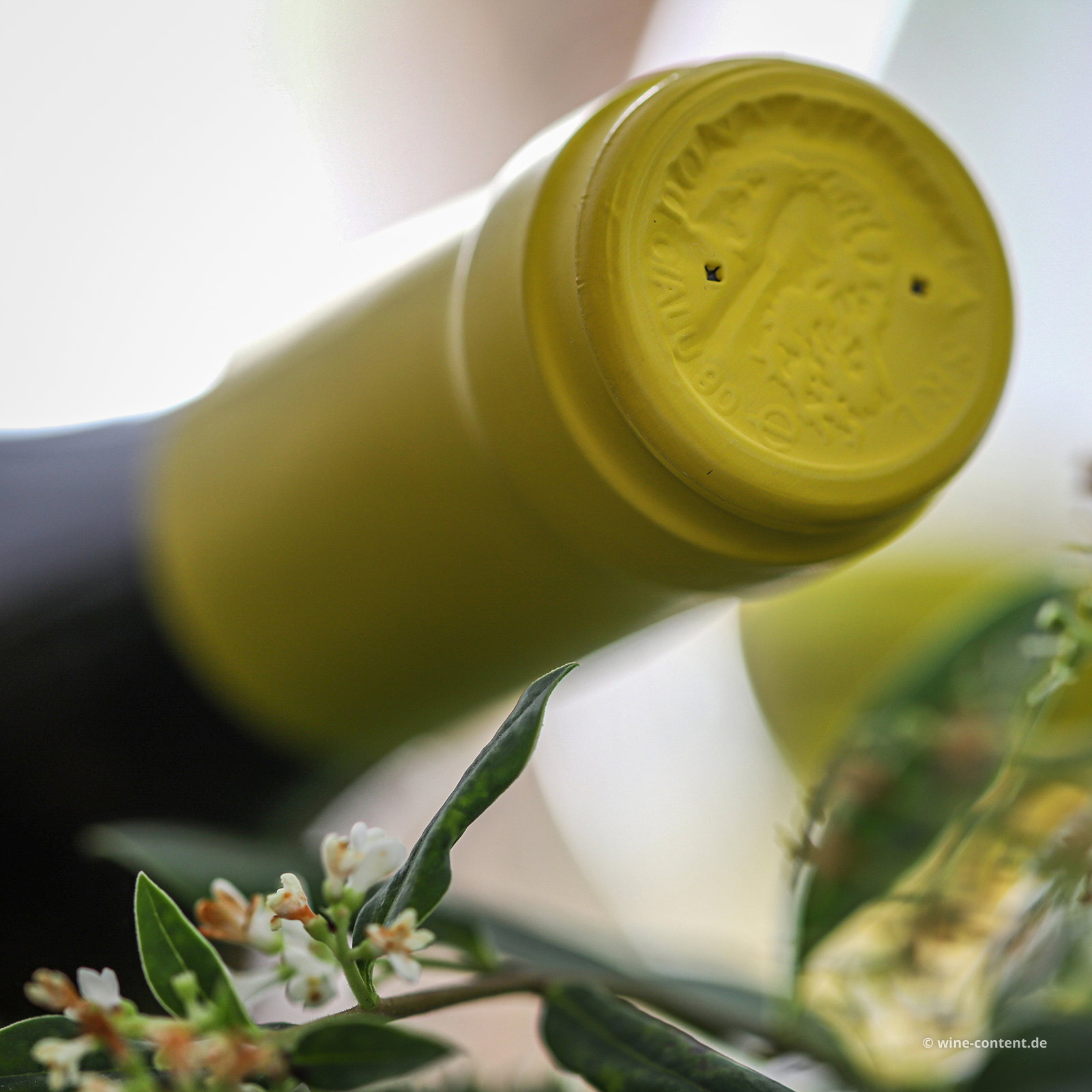 Grillo Sicilia 2025 Passiperduti