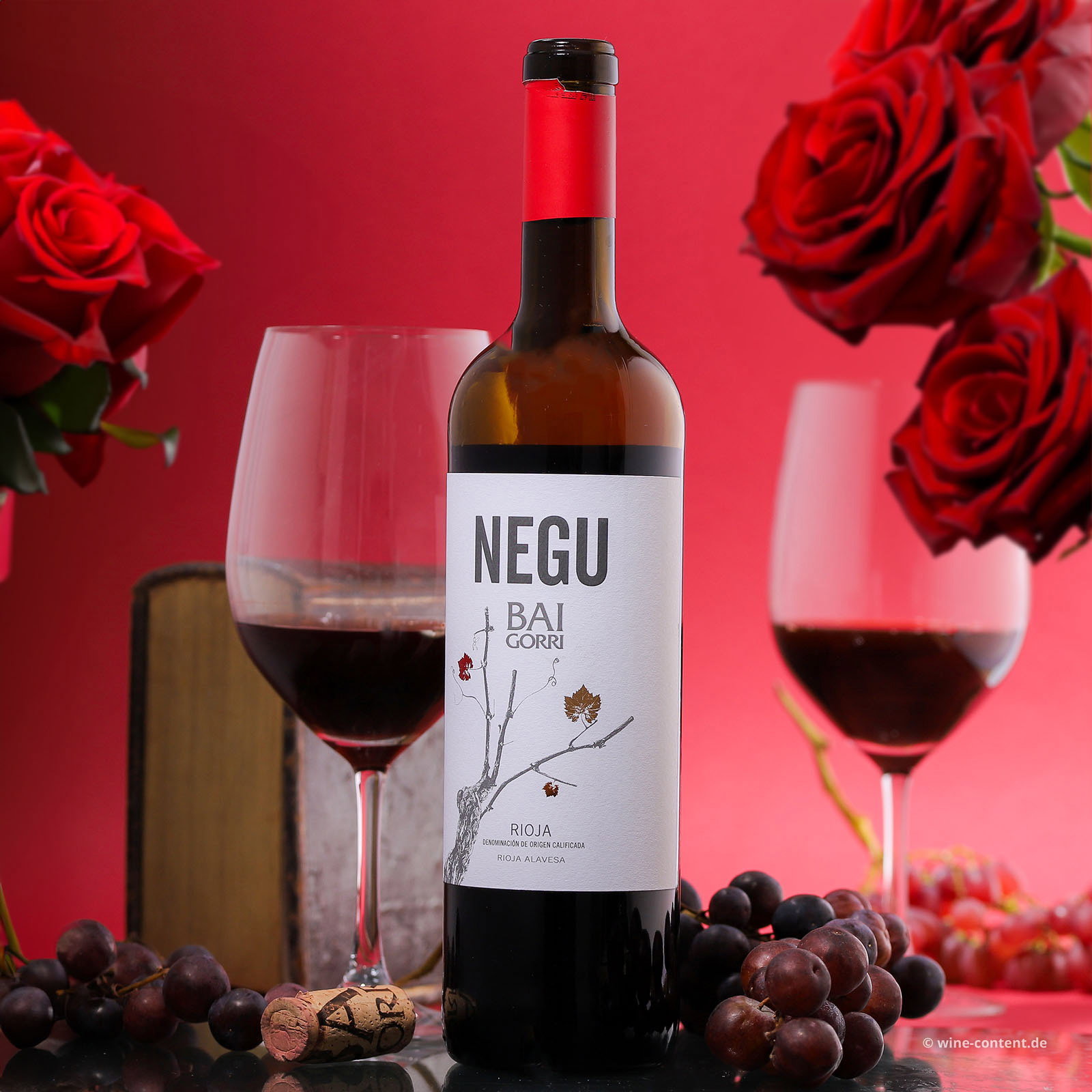 Rioja 2025 Negu