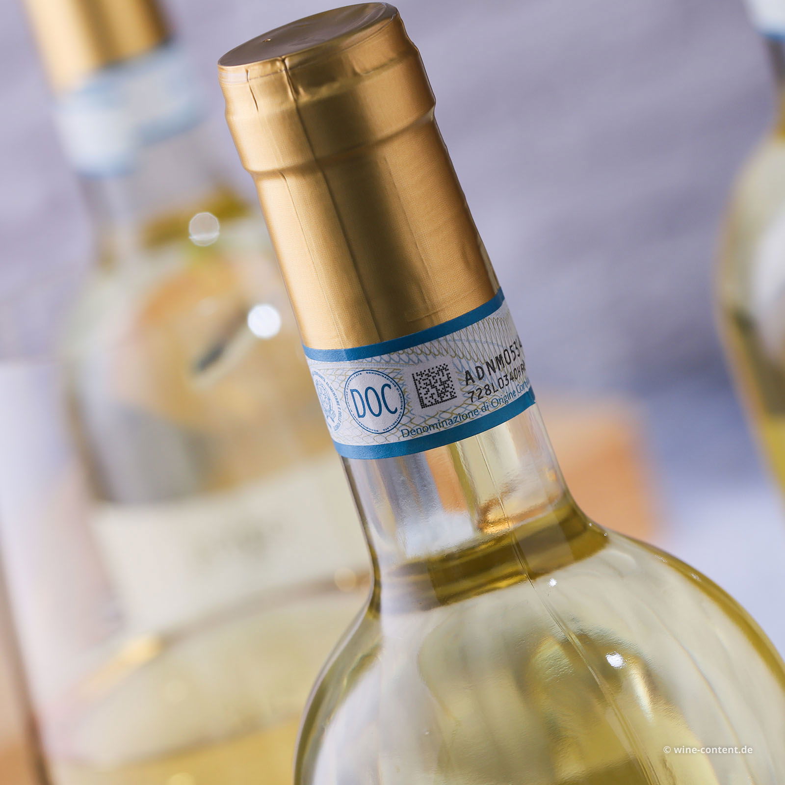 6er-Sparpaket Custoza 2025 San Michelin Bio