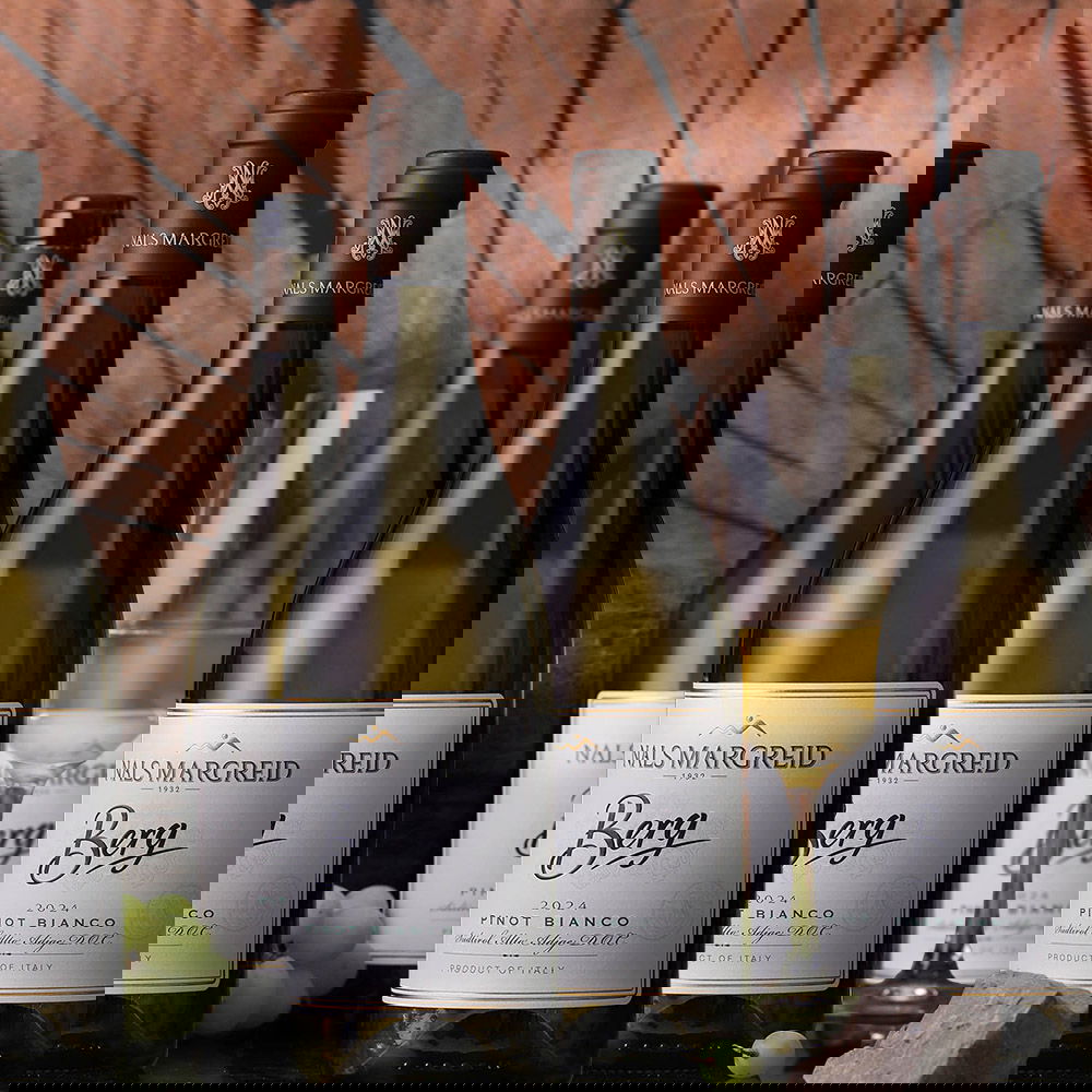 6er-Sparpaket Pinot Bianco 2024 Berg 6er-Sparpaket Pinot Bianco 2024 Berg