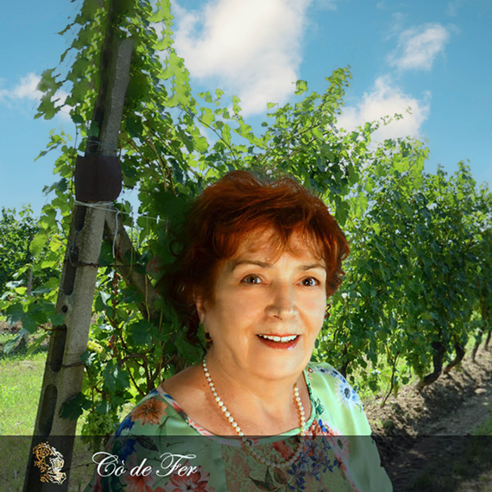 6er-Sparpaket Lugana 2025 Cò de Fer