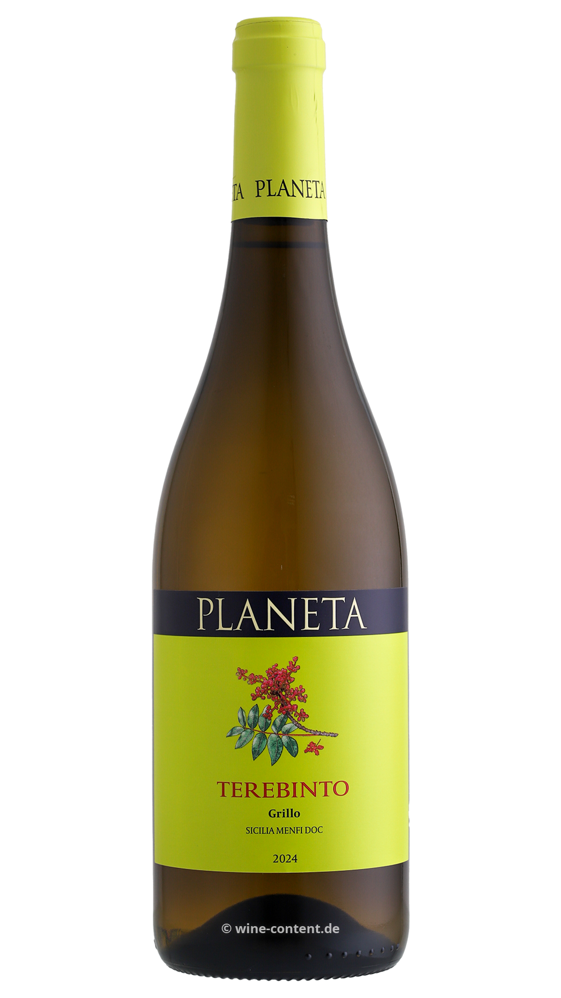 Grillo Sicilia Menfi 2024 Terebinto Bio