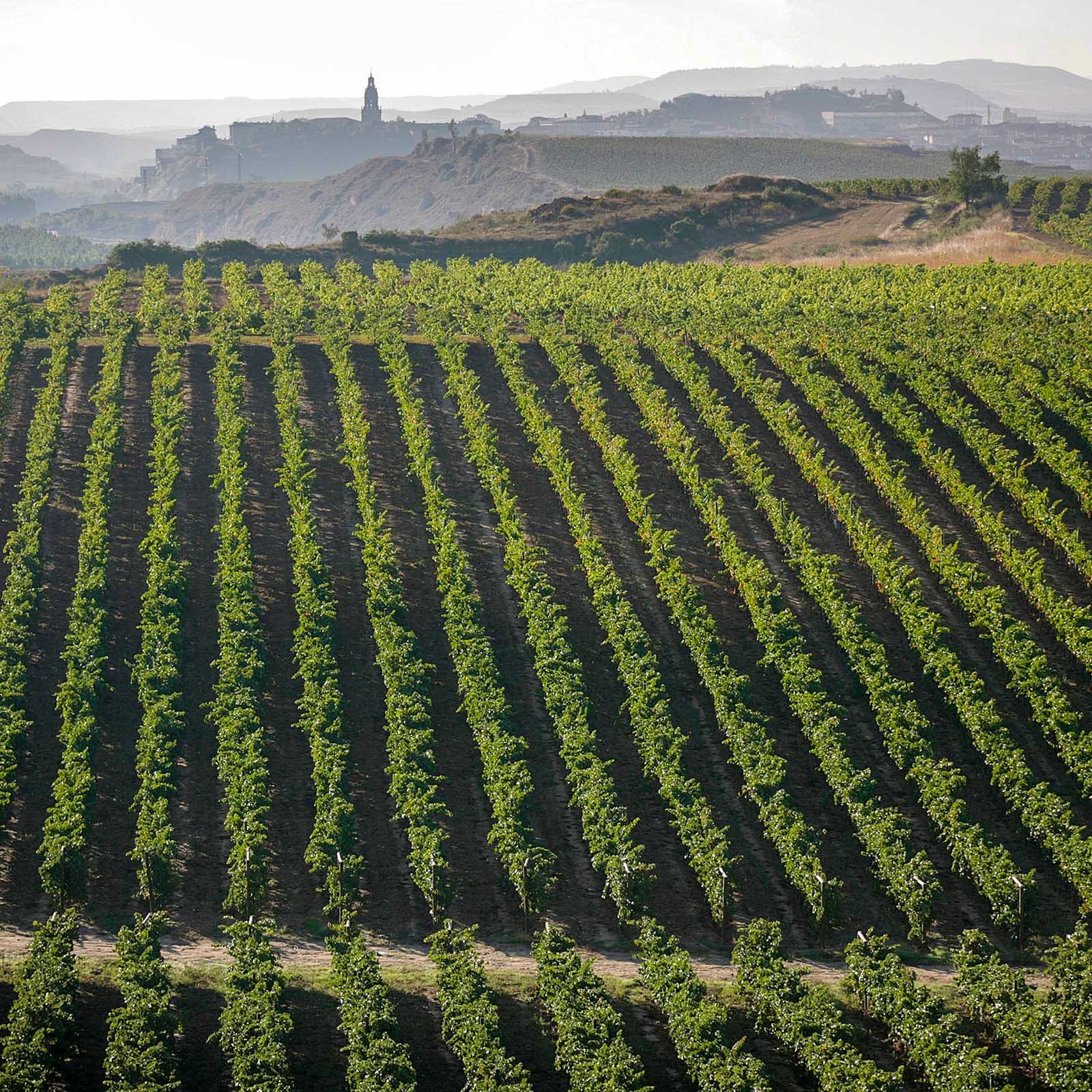 Rioja Gran Reserva 2015 Prado Enea