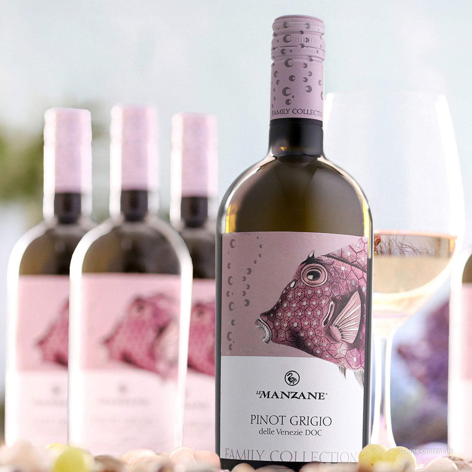 6er-Sparpaket Pinot Grigio delle Venezie 2025