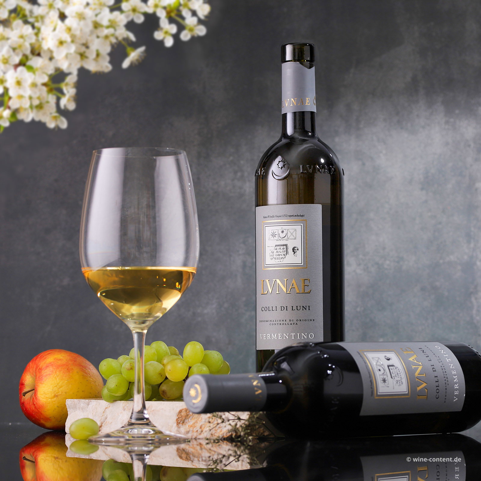 Vermentino Colli di Luni 2025 Etichetta Grigia