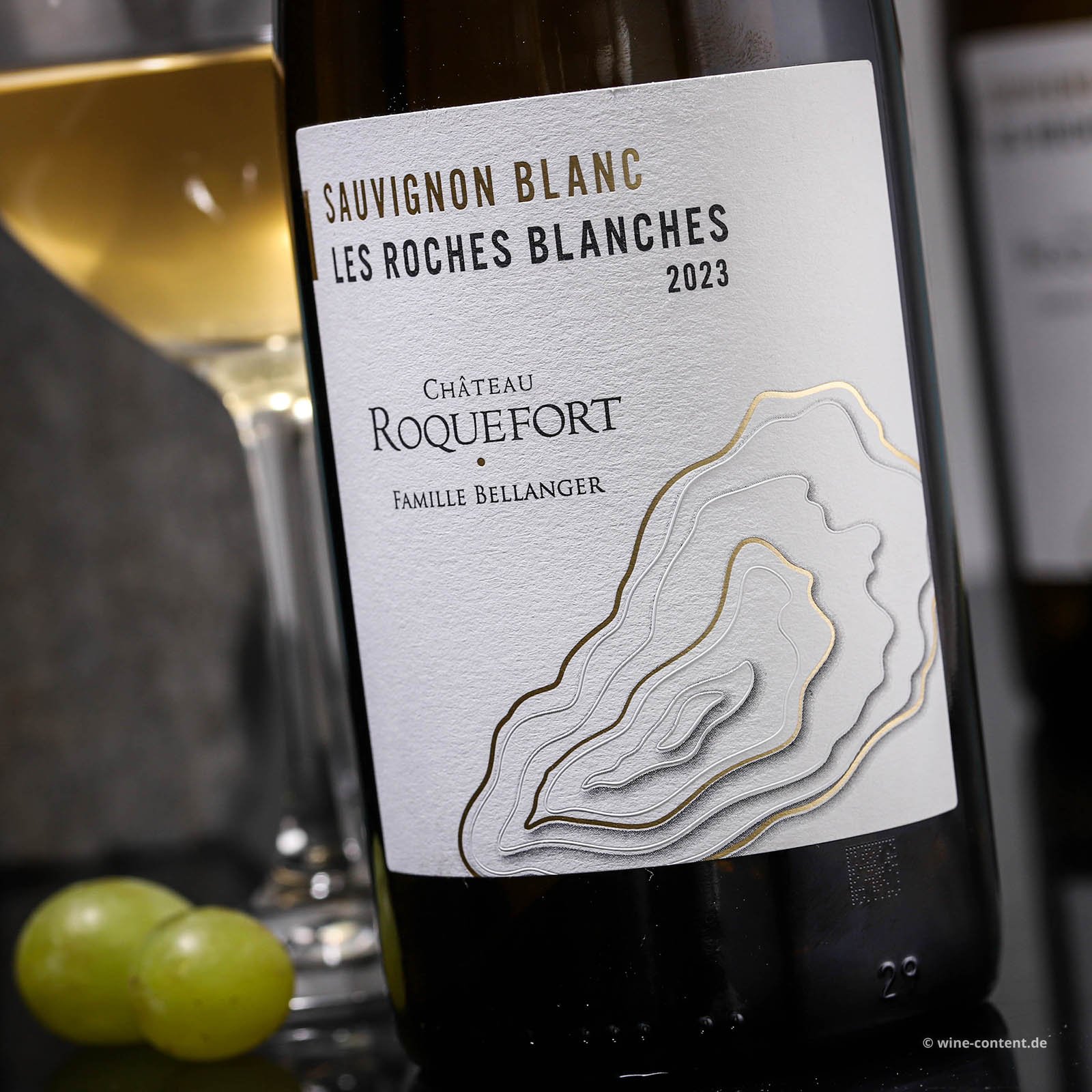 Sauvignon Blanc 2023 Les Roches Blanches Bio