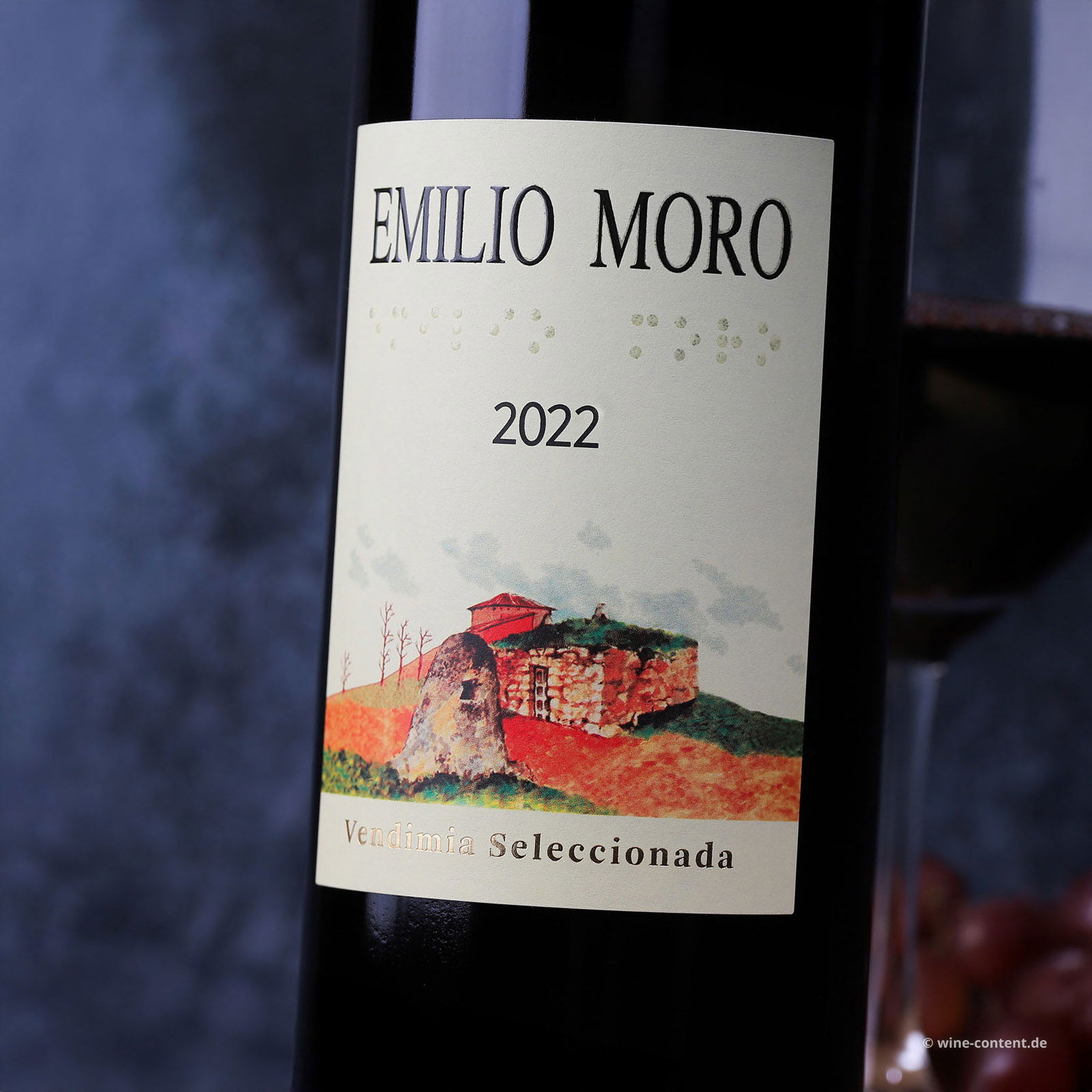 Tempranillo 2022 Vendimia Seleccionada