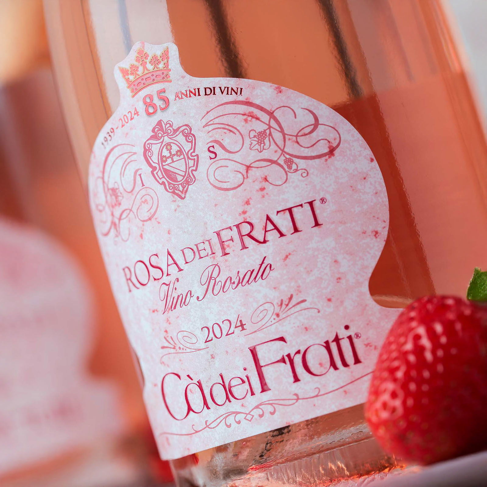 Rosa dei Frati 2024