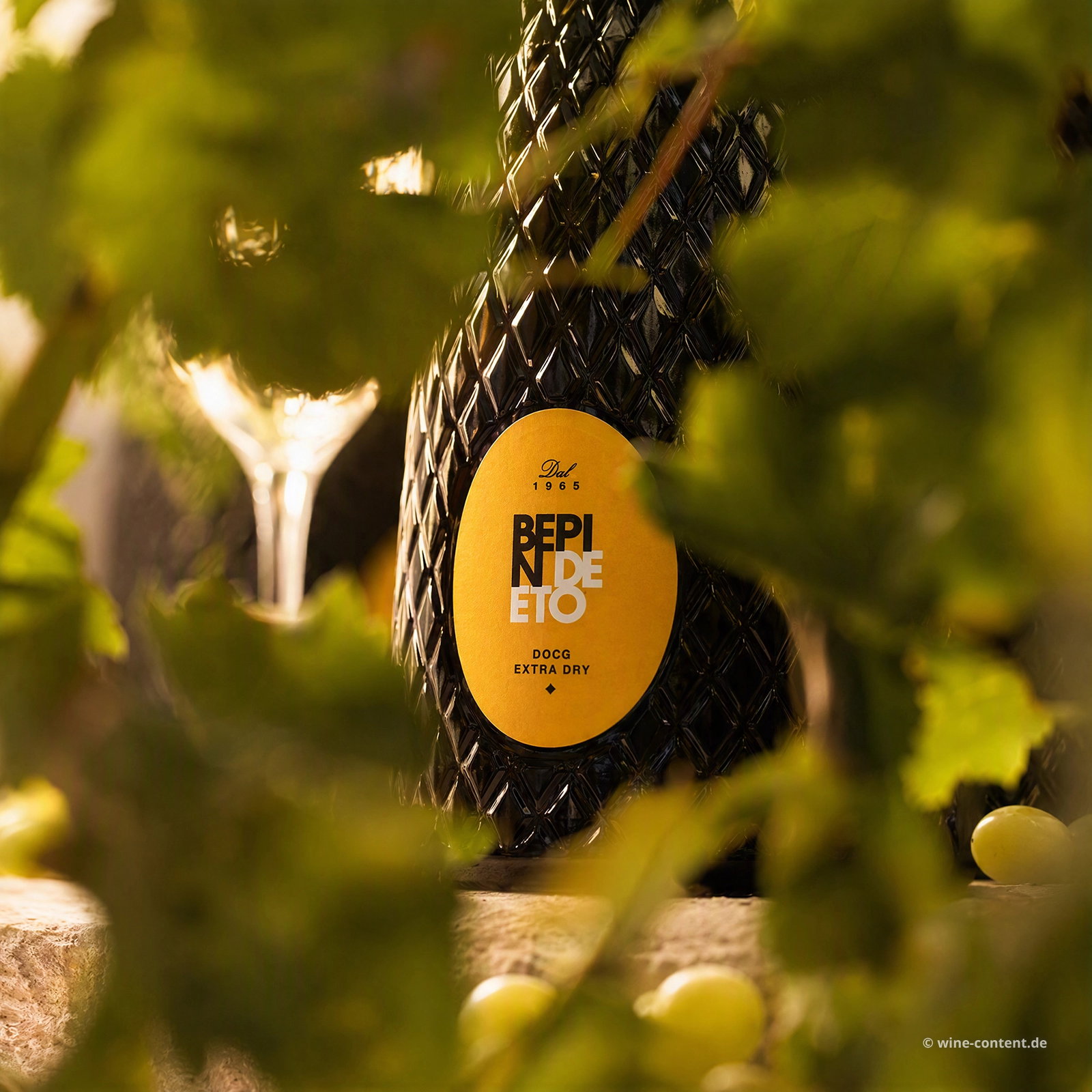 6er-Sparpaket Prosecco Superiore 2025 Extra Dry