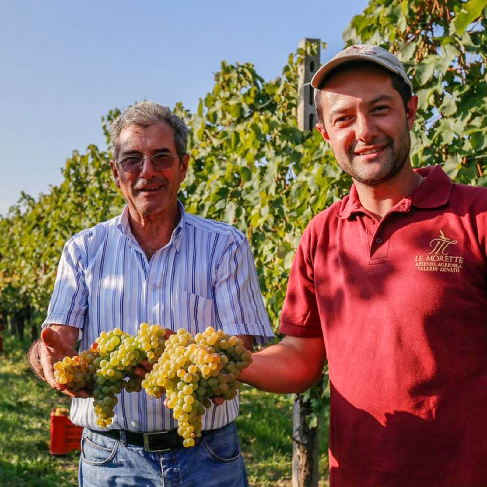 6er-Sparpaket Chiaretto di Bardolino Classico 2025