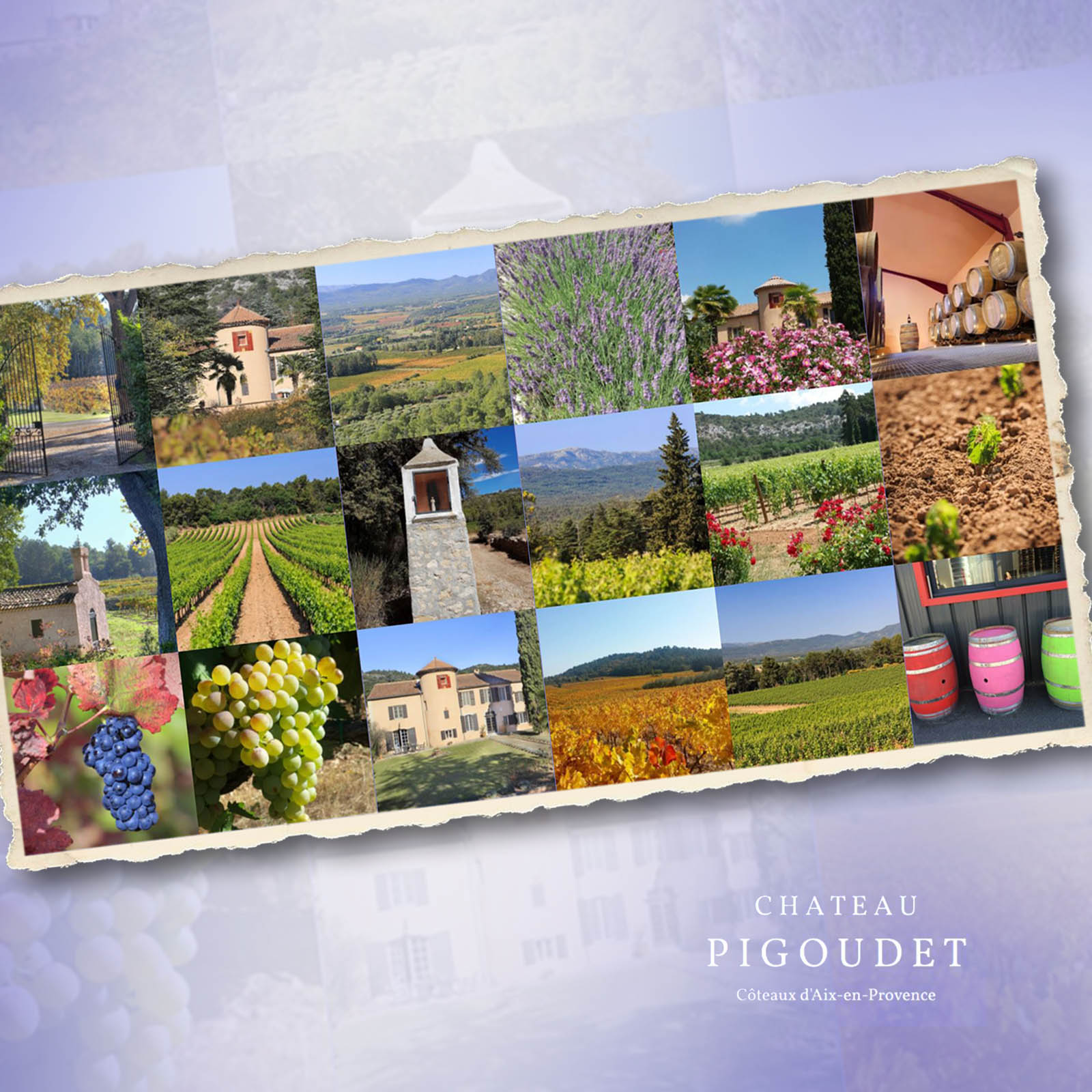 Aix en Provence Rosé 2025 Classic