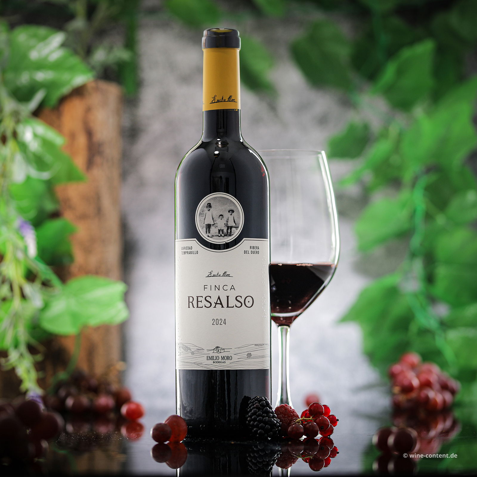 Tempranillo 2024 Finca Resalso