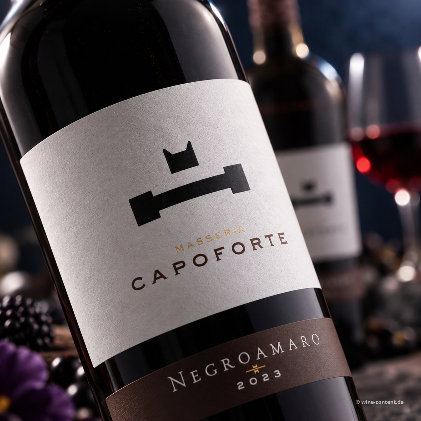 Negroamaro Salento 2023