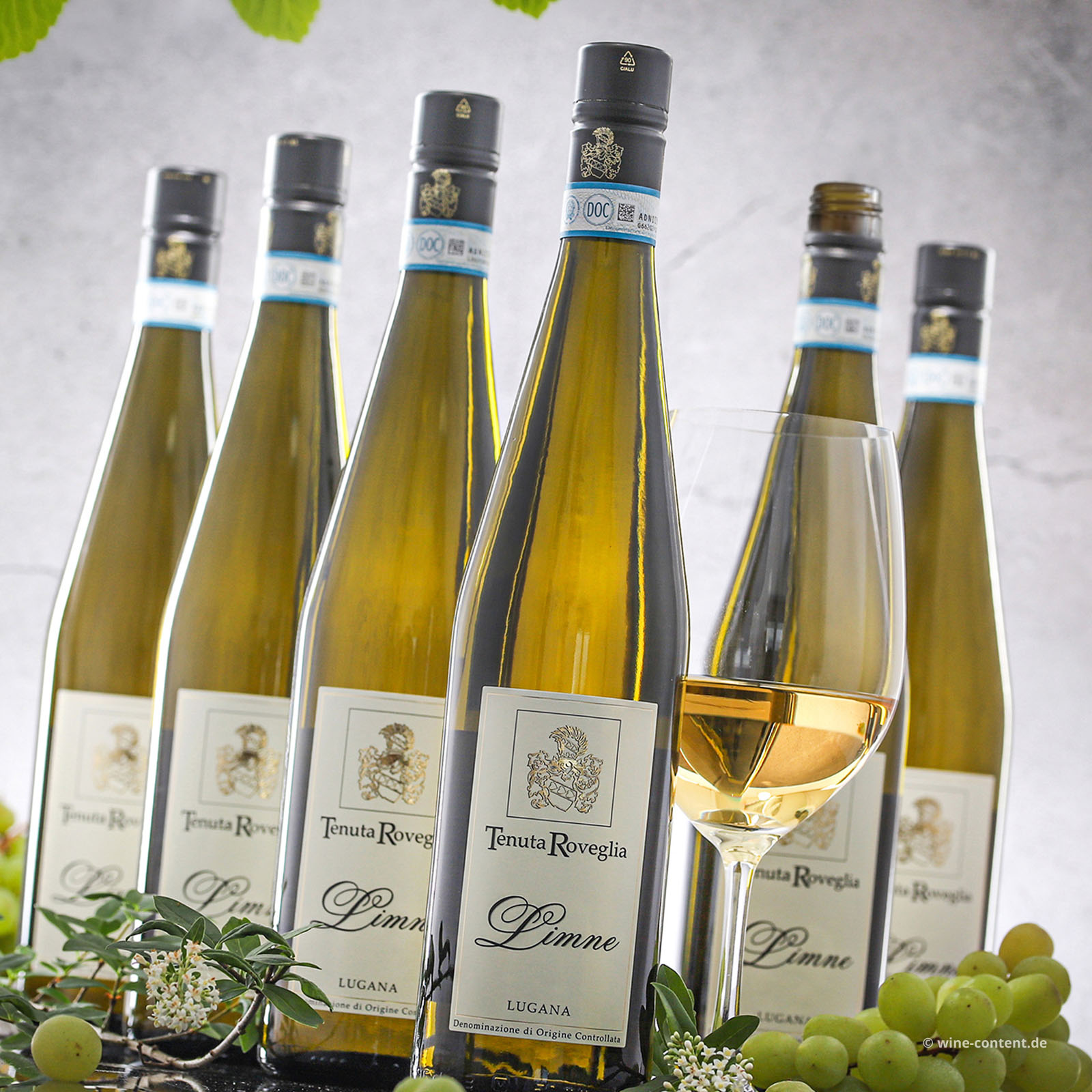 6er-Sparpaket Lugana 2025 Limne