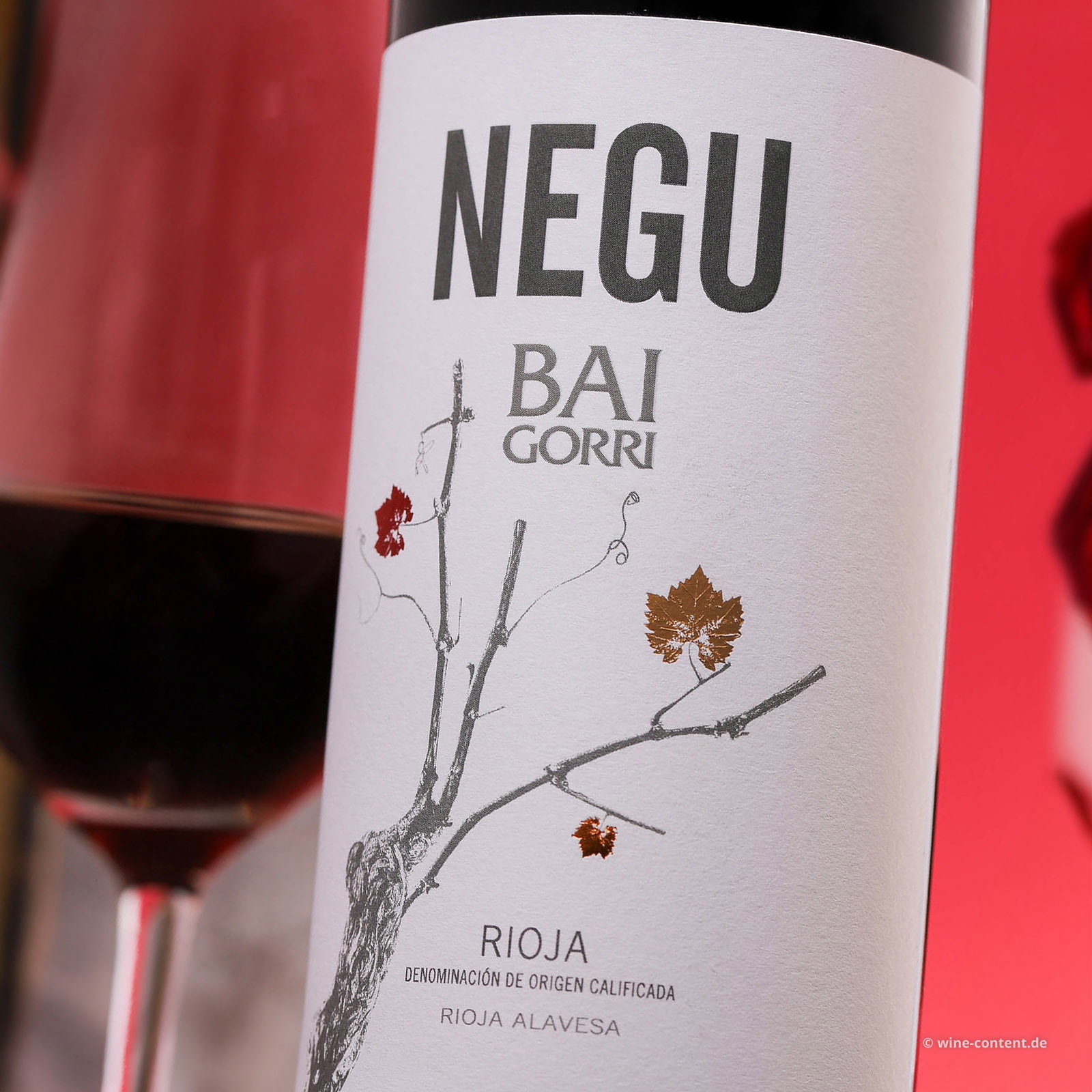 Rioja 2025 Negu