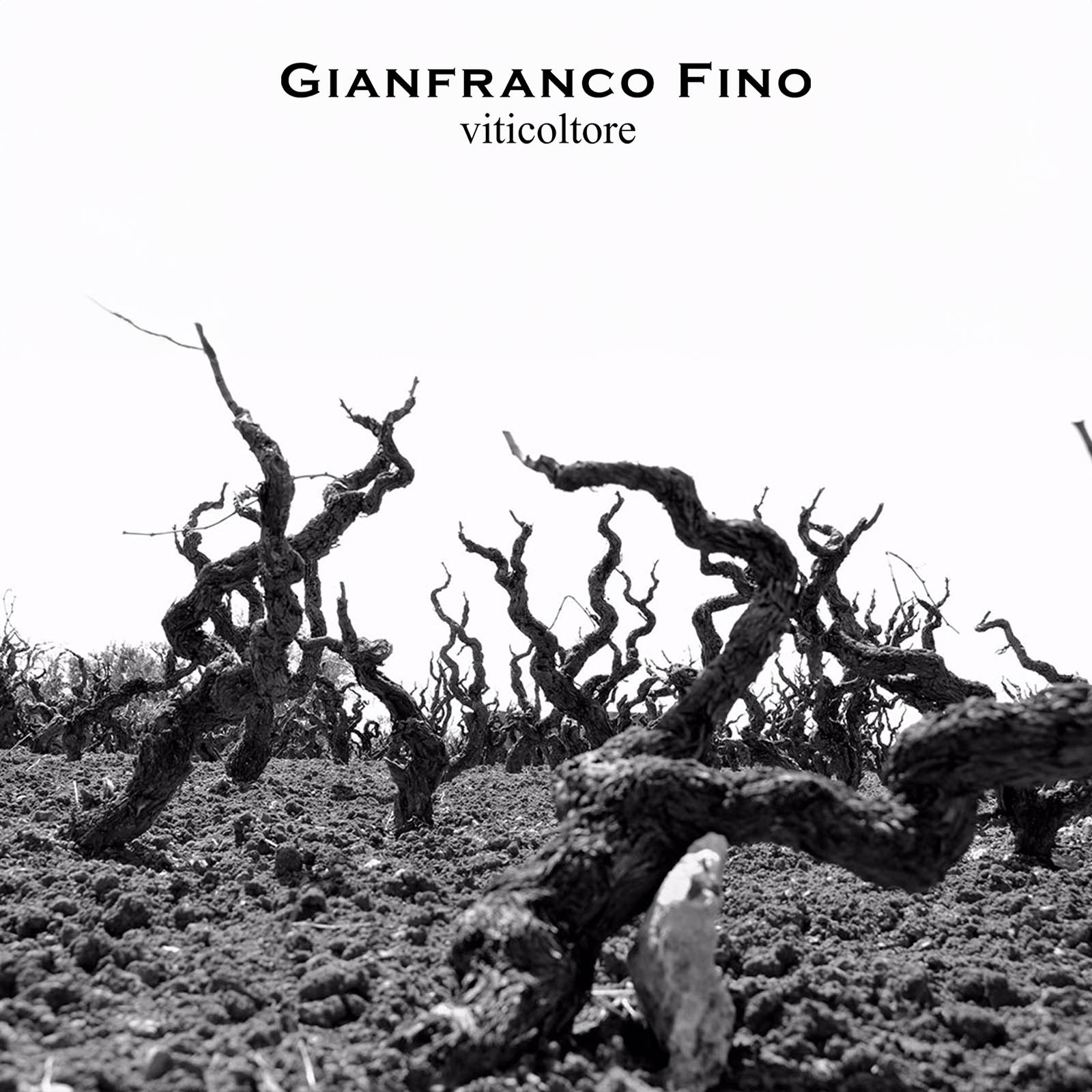 6er-Sparpaket Primitivo Salento 2023 ES