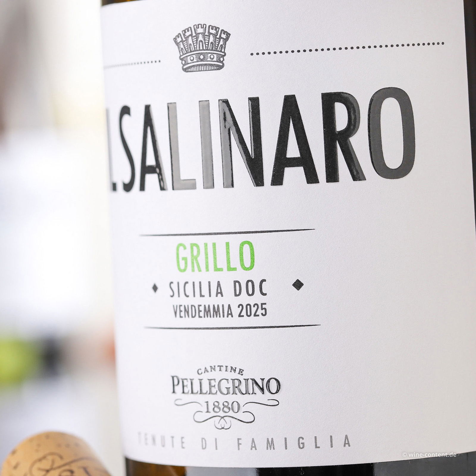 Grillo Sicilia 2025 Il Salinaro