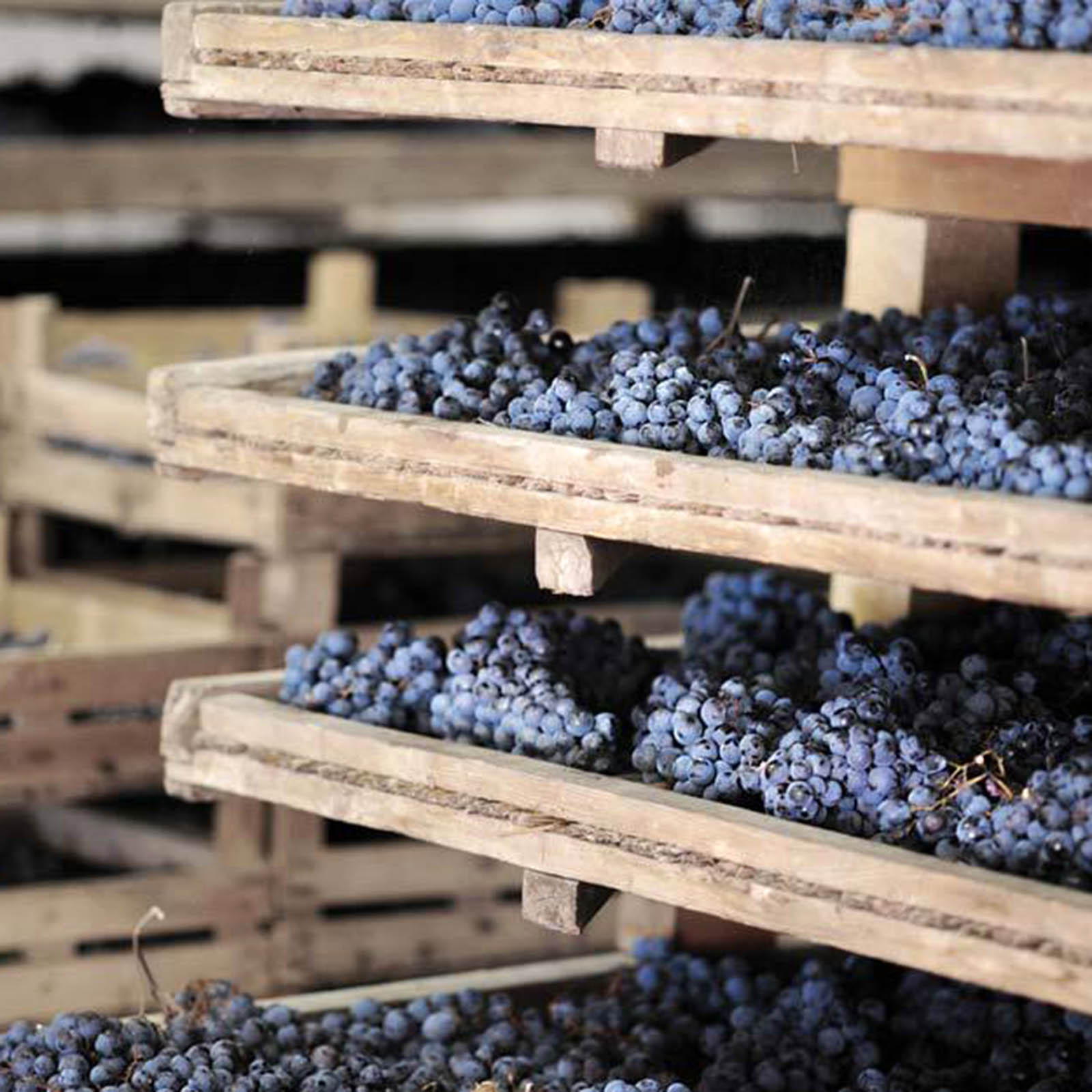 6er-Holzkiste Amarone della Valpolicella 2021