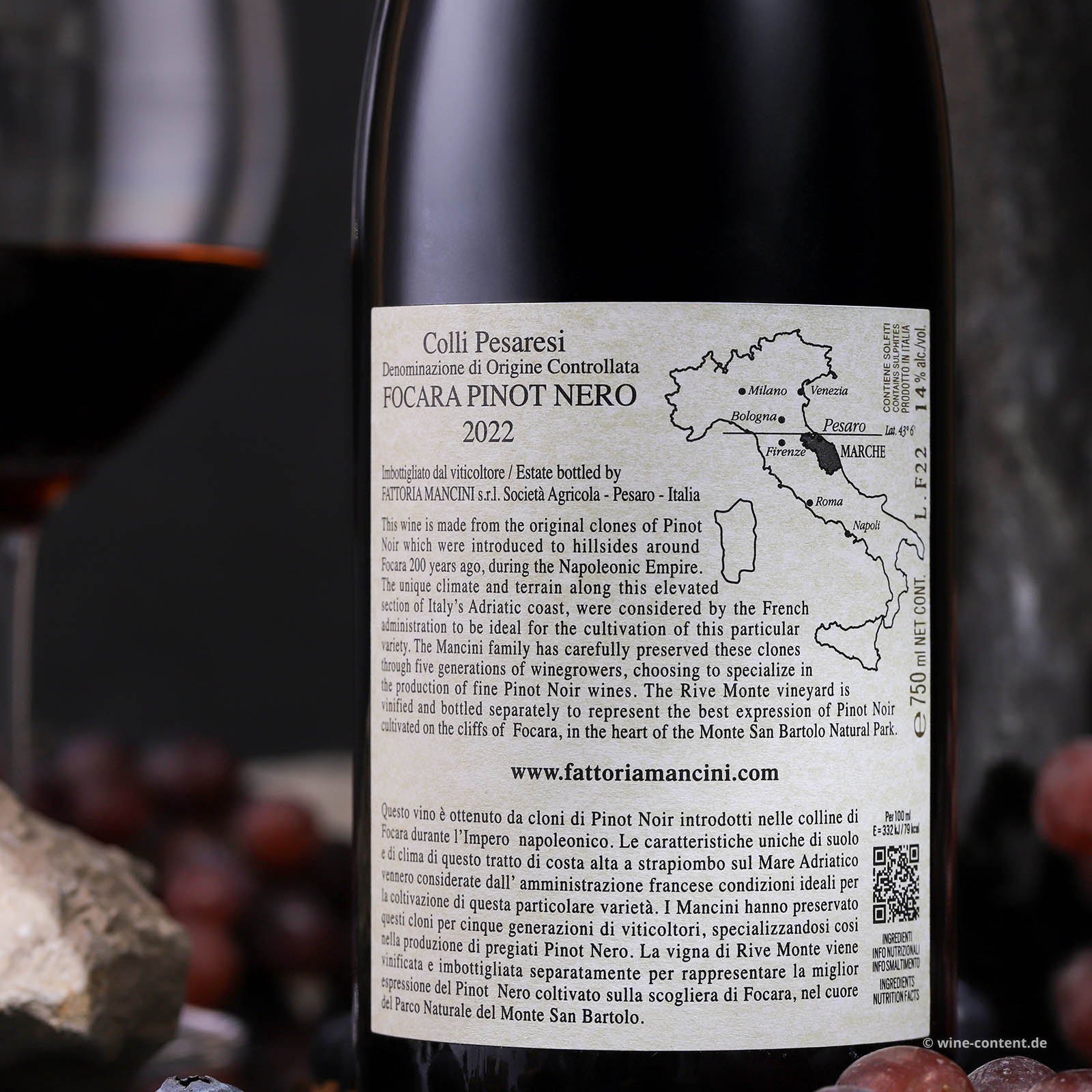 Pinot Noir 2022 Focara