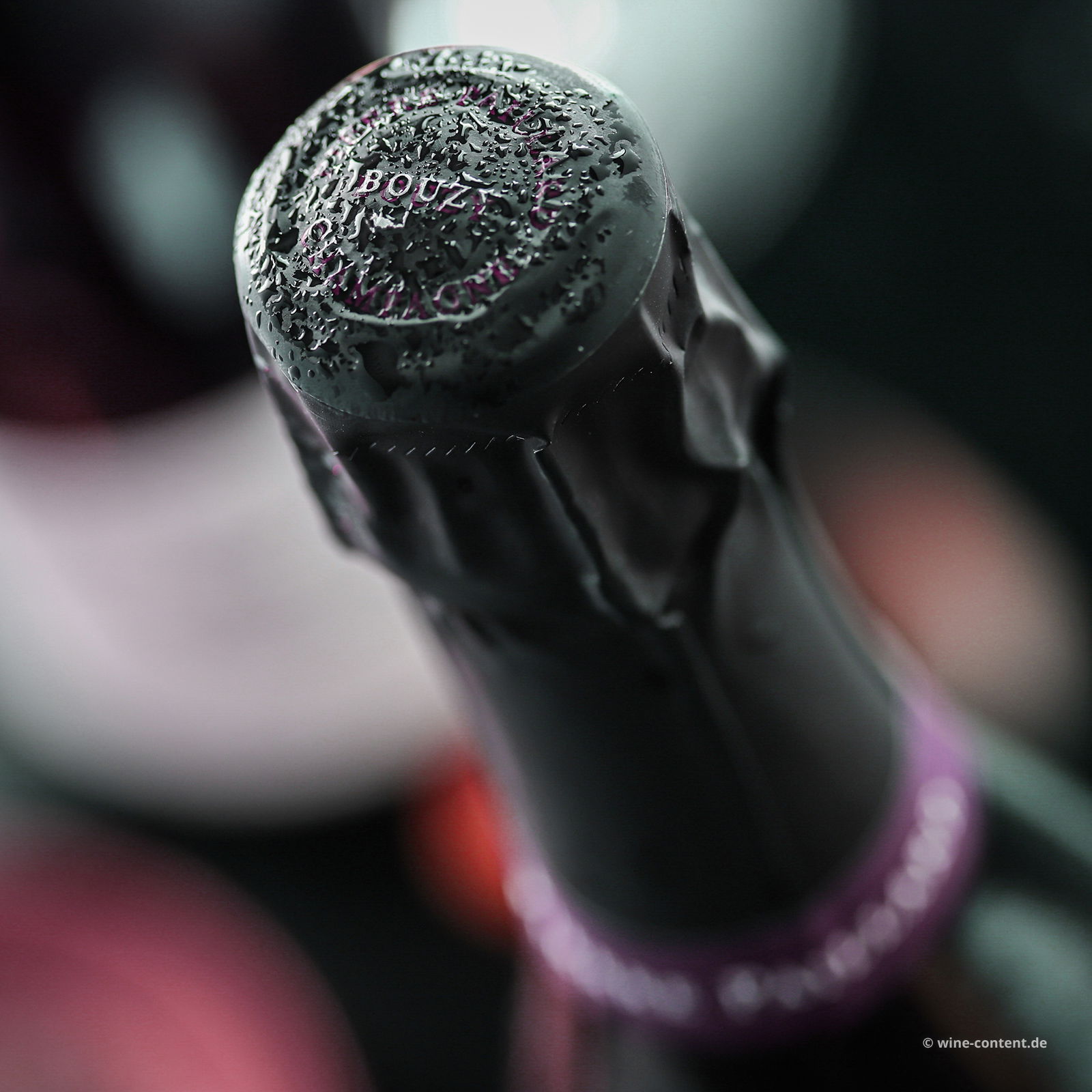 Champagner Les Terres Roses Bouzy Grand Cru Extra Brut