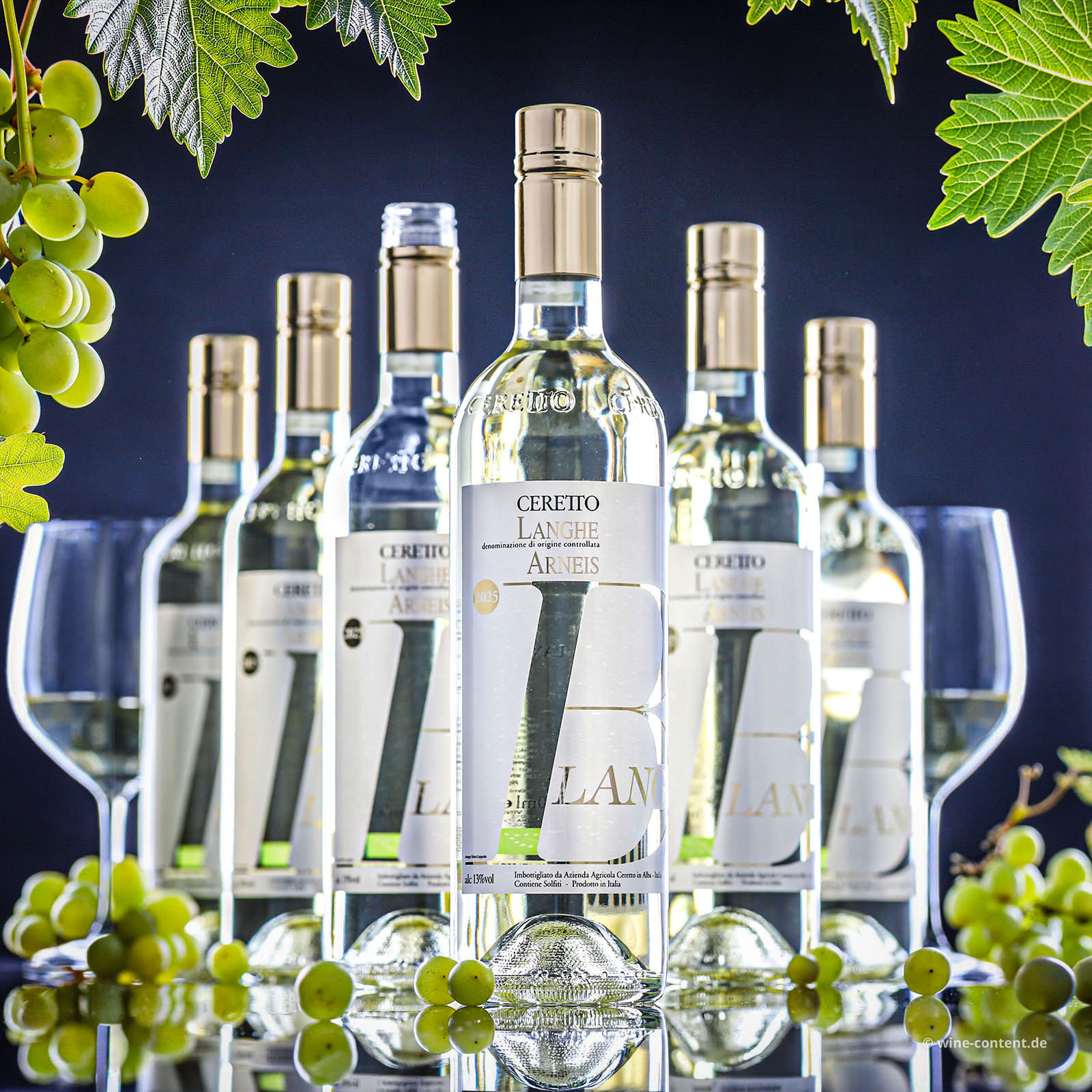 6er-Sparpaket Arneis Langhe 2025 Blangé
