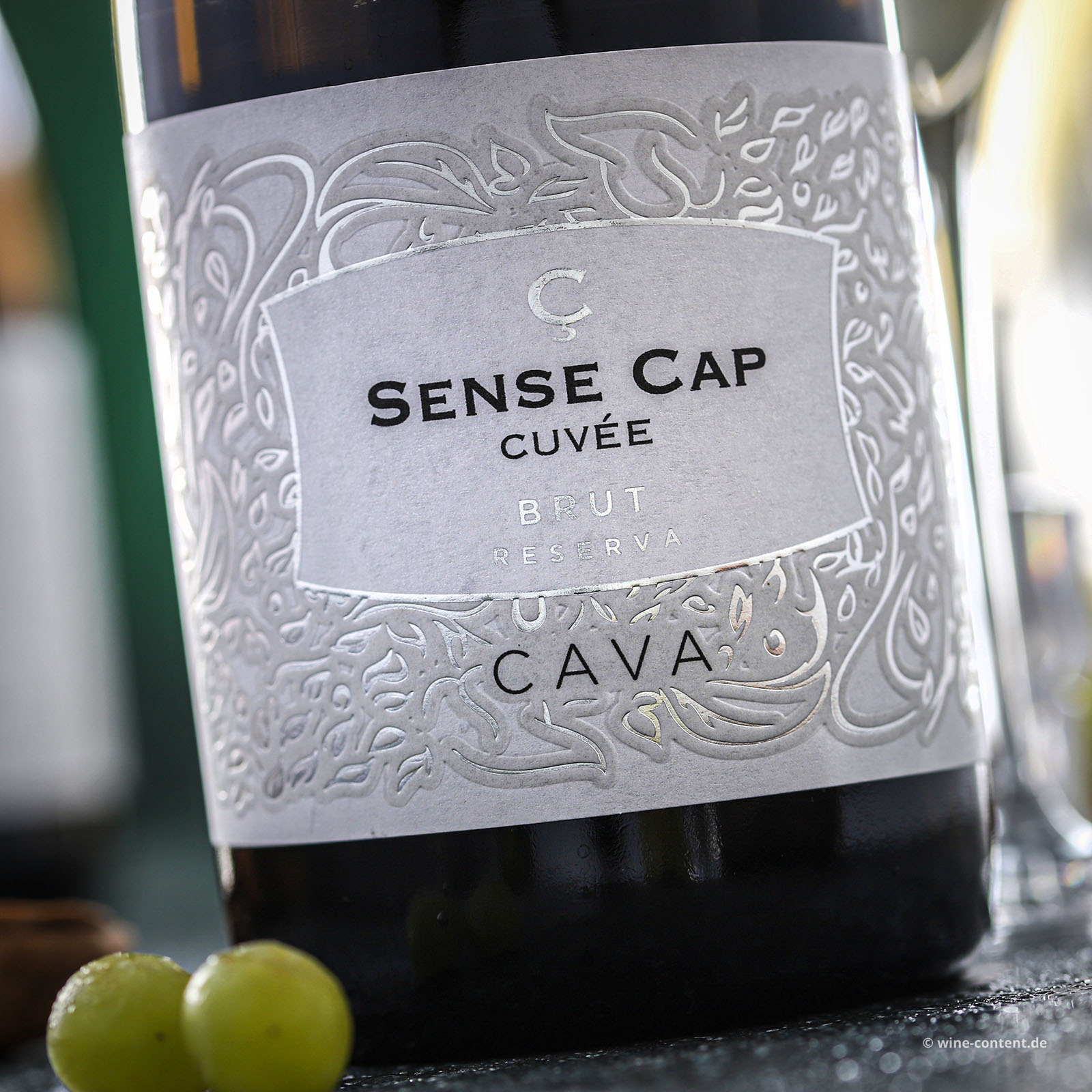 Cava Reserva 2021 Sense Cap Brut Bio