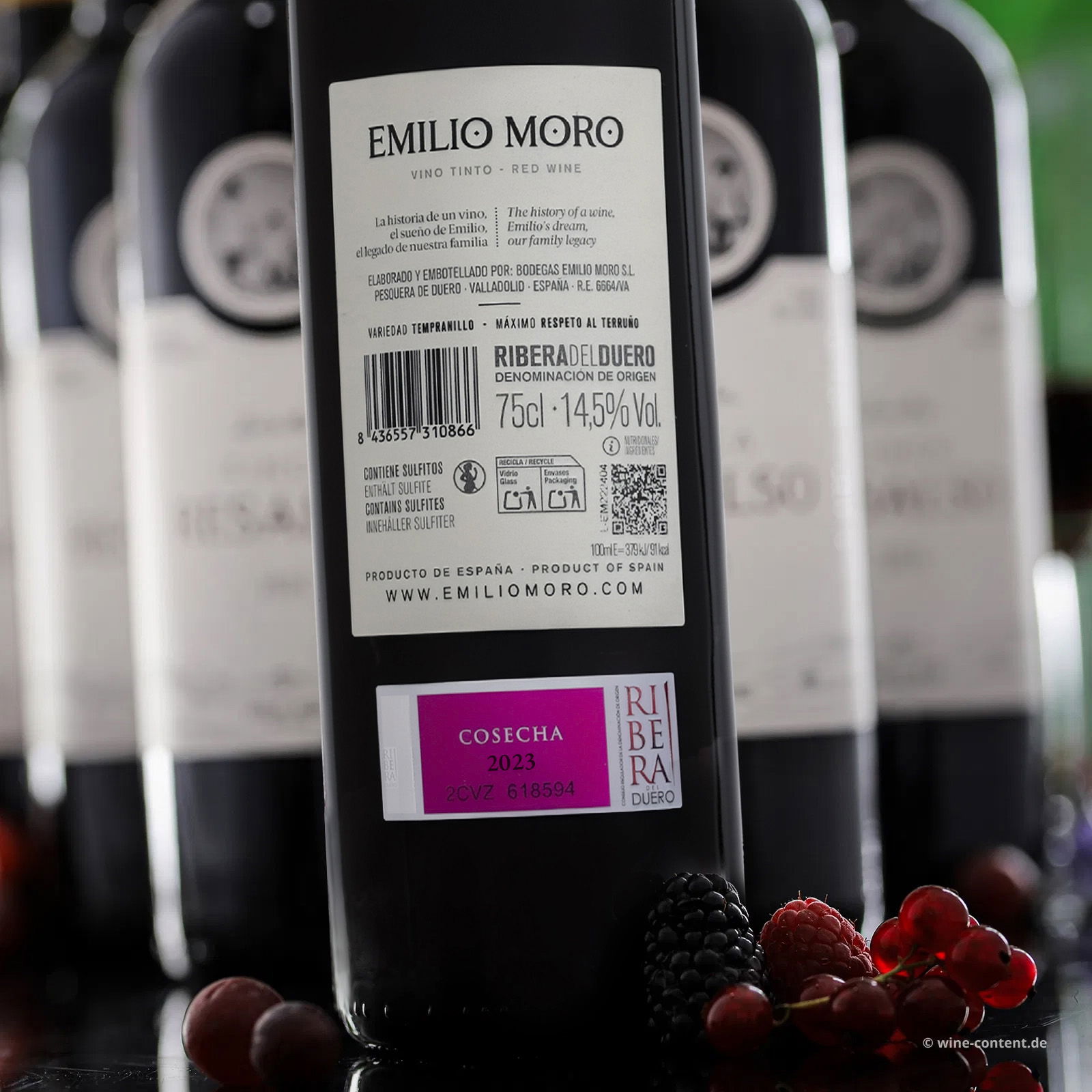 6er-Sparpaket Tempranillo 2023 Emilio Moro