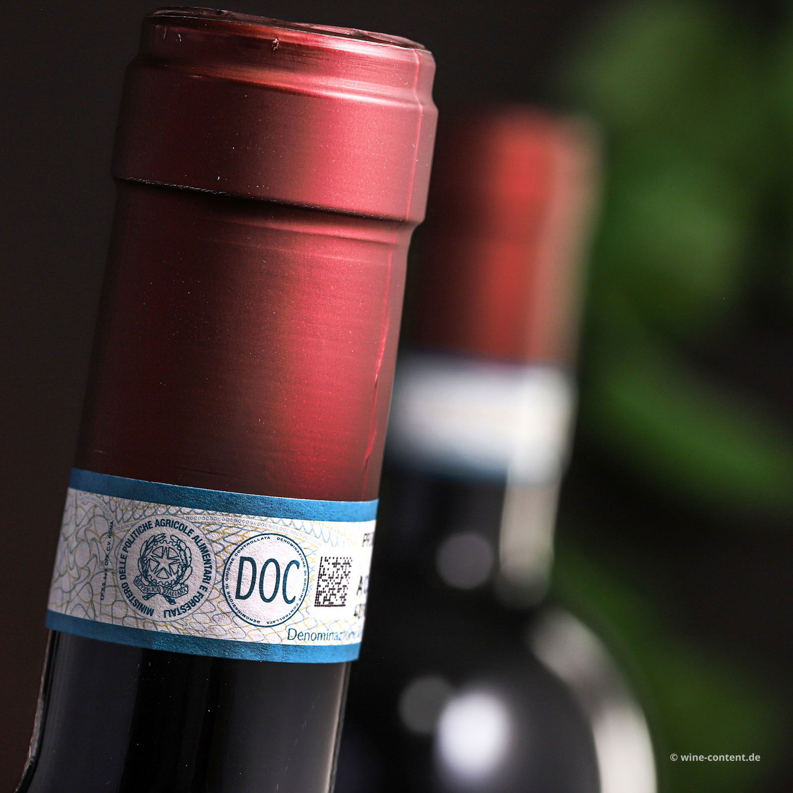 Primitivo di Manduria Riserva 2021 Piano Chiuso