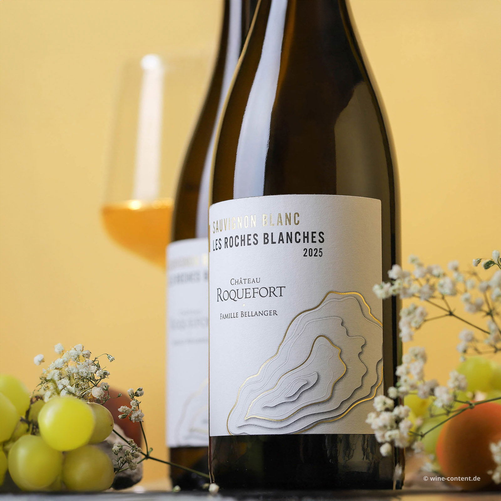 Sauvignon Blanc 2025 Les Roches Blanches Bio