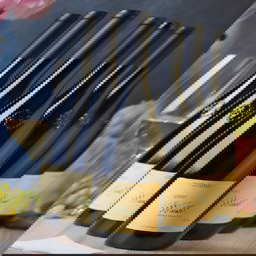 6er-Sparpaket Sauvignon Blanc 2024 Winkl