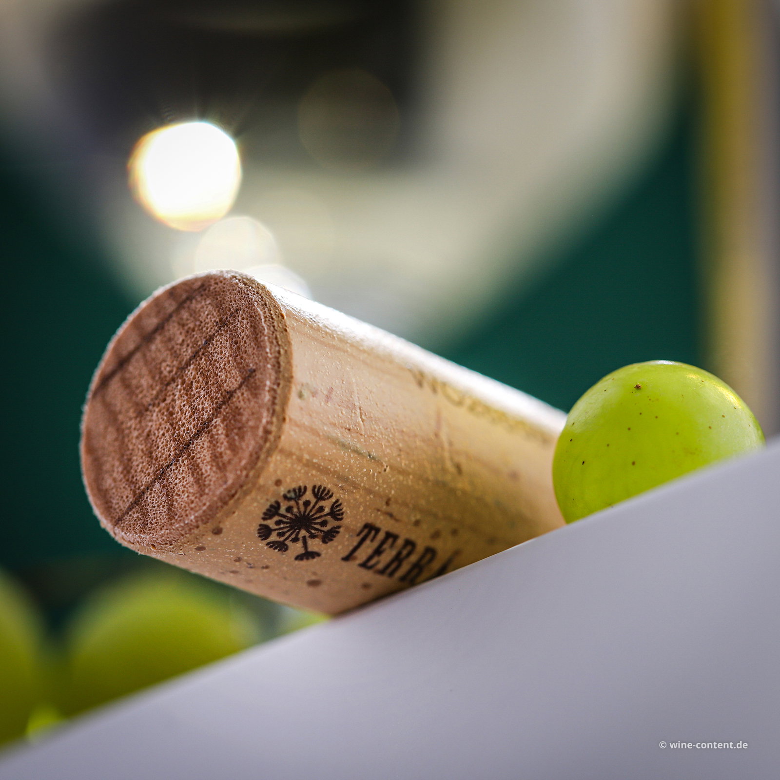 Fiano Terra d'Otranto 2024 Ora
