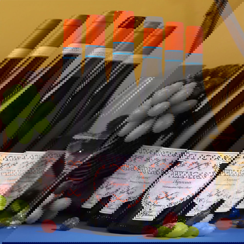 6er-Sparpaket Lugana 2025 Felugan