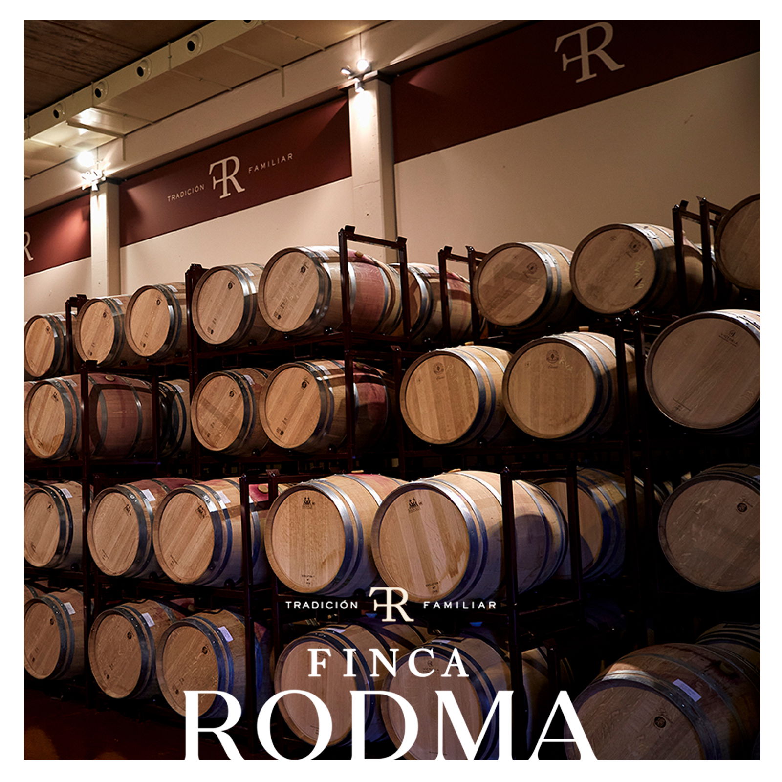 Tempranillo 2020 Selección