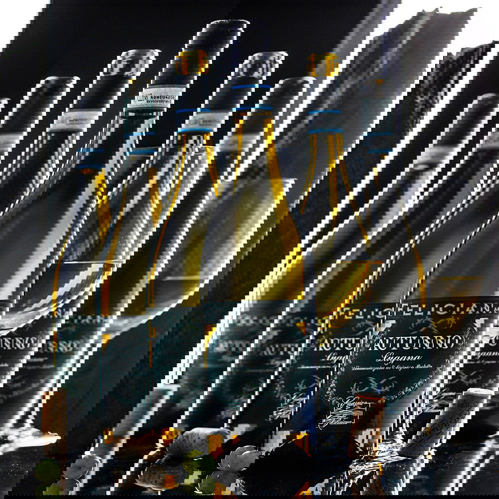 6er-Sparpaket Lugana 2024 Autunno