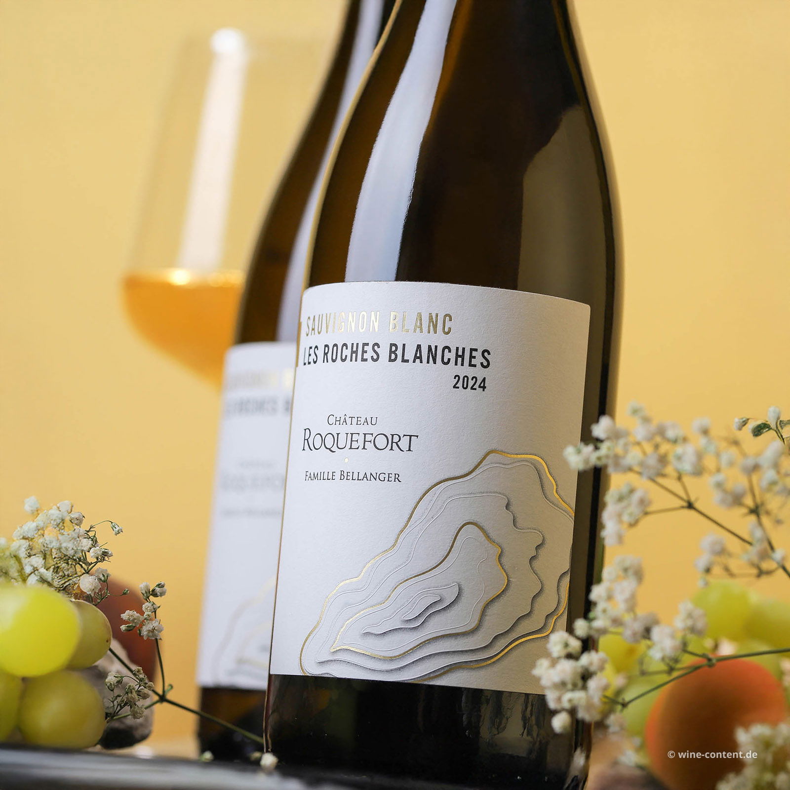 Sauvignon Blanc 2024 Les Roches Blanches Bio