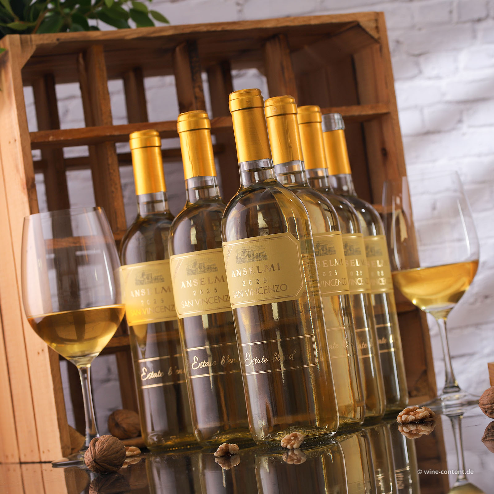 6er-Sparpaket San Vincenzo 2025