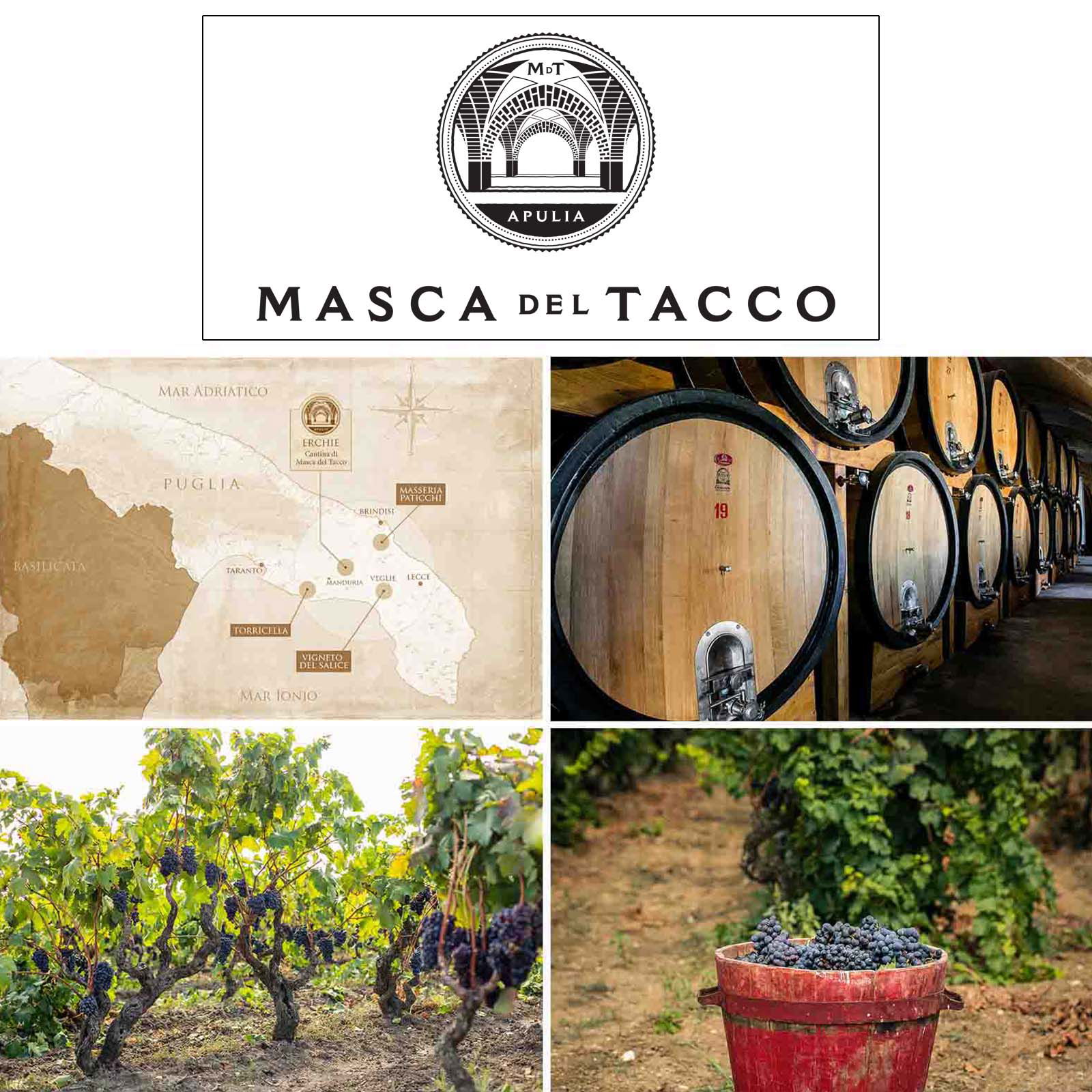 6er-Sparpaket Susumaniello 2023 6er-Sparpaket Susumaniello 2023