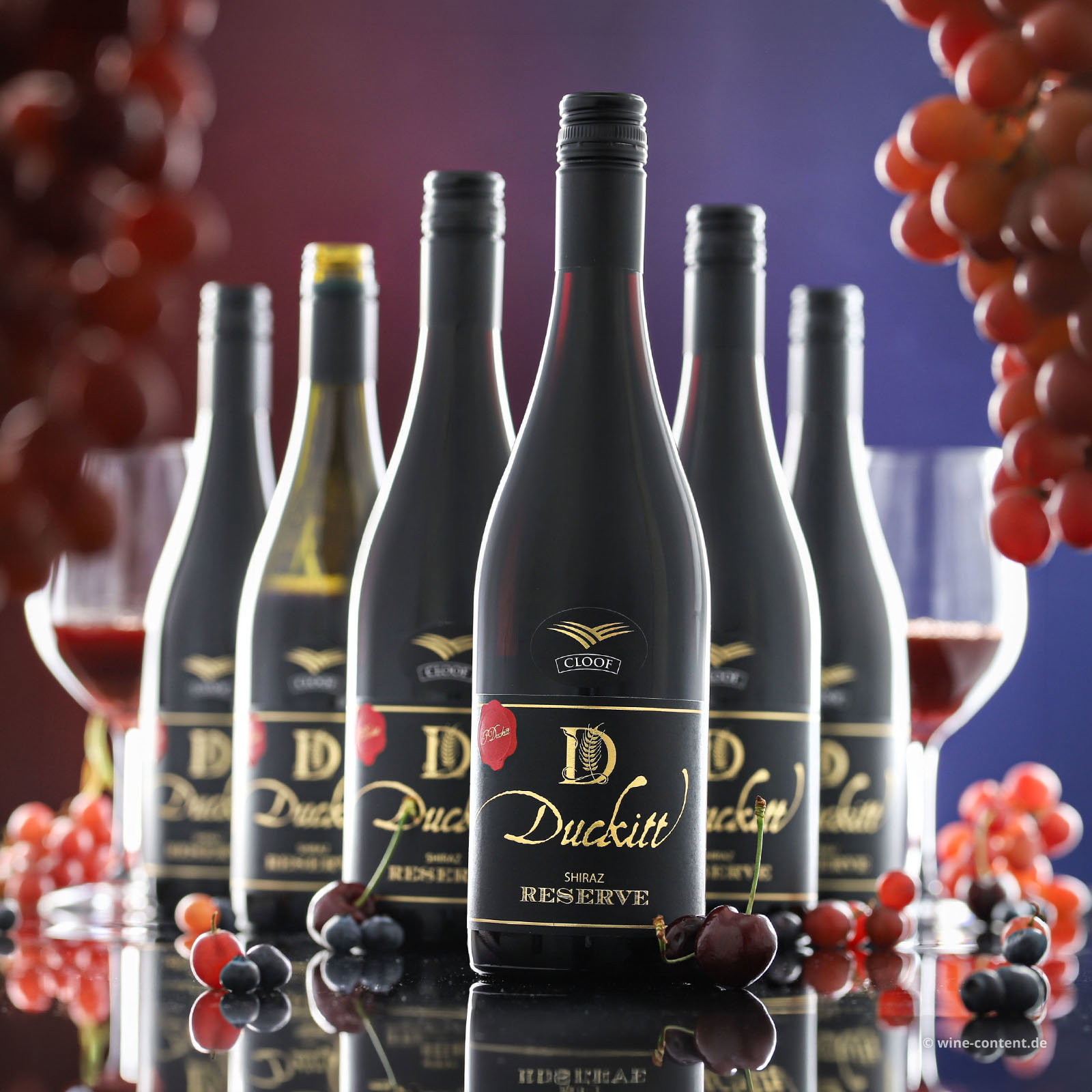 6er-Sparpaket Shiraz Reserve 2022 Duckitt